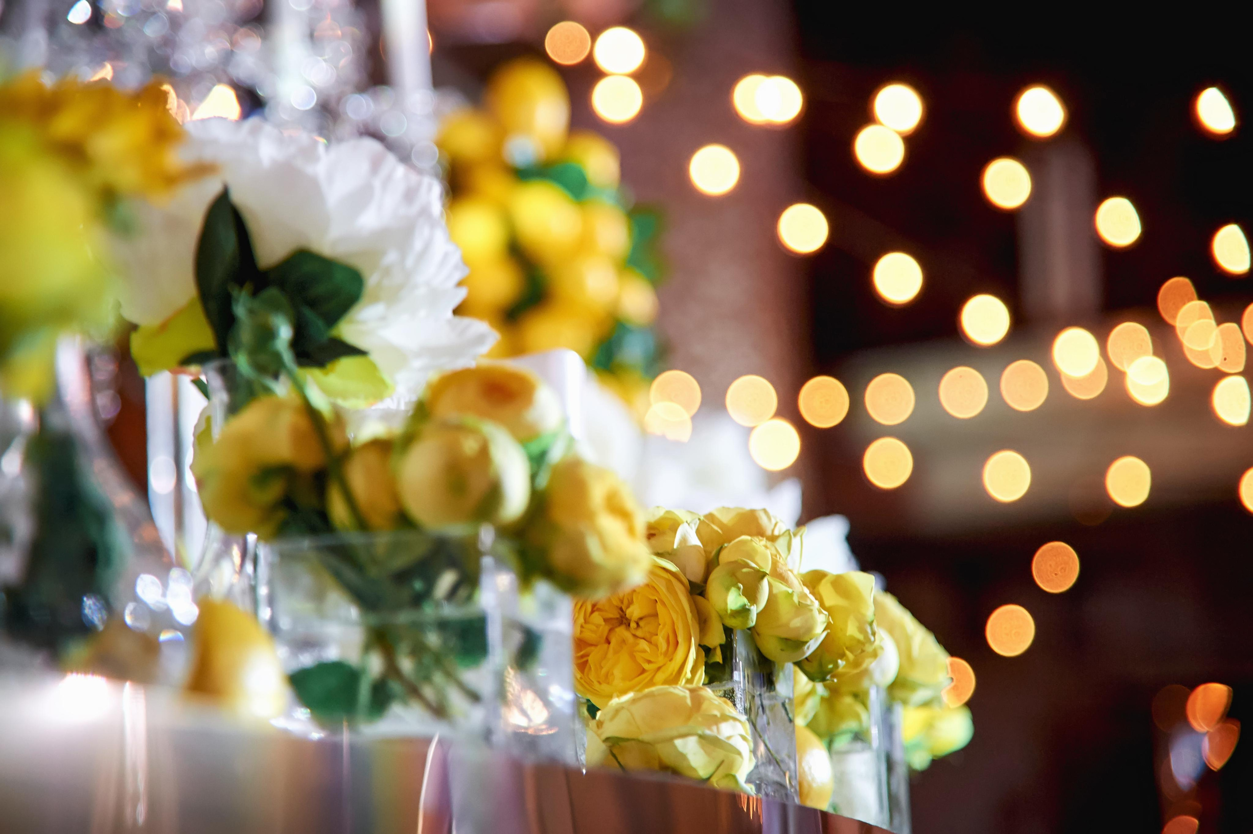 SAPG + TWINS STUDIO. ТВИНС СТУДИО — лучшие свадебные фотографы и видеографы в Краснодаре