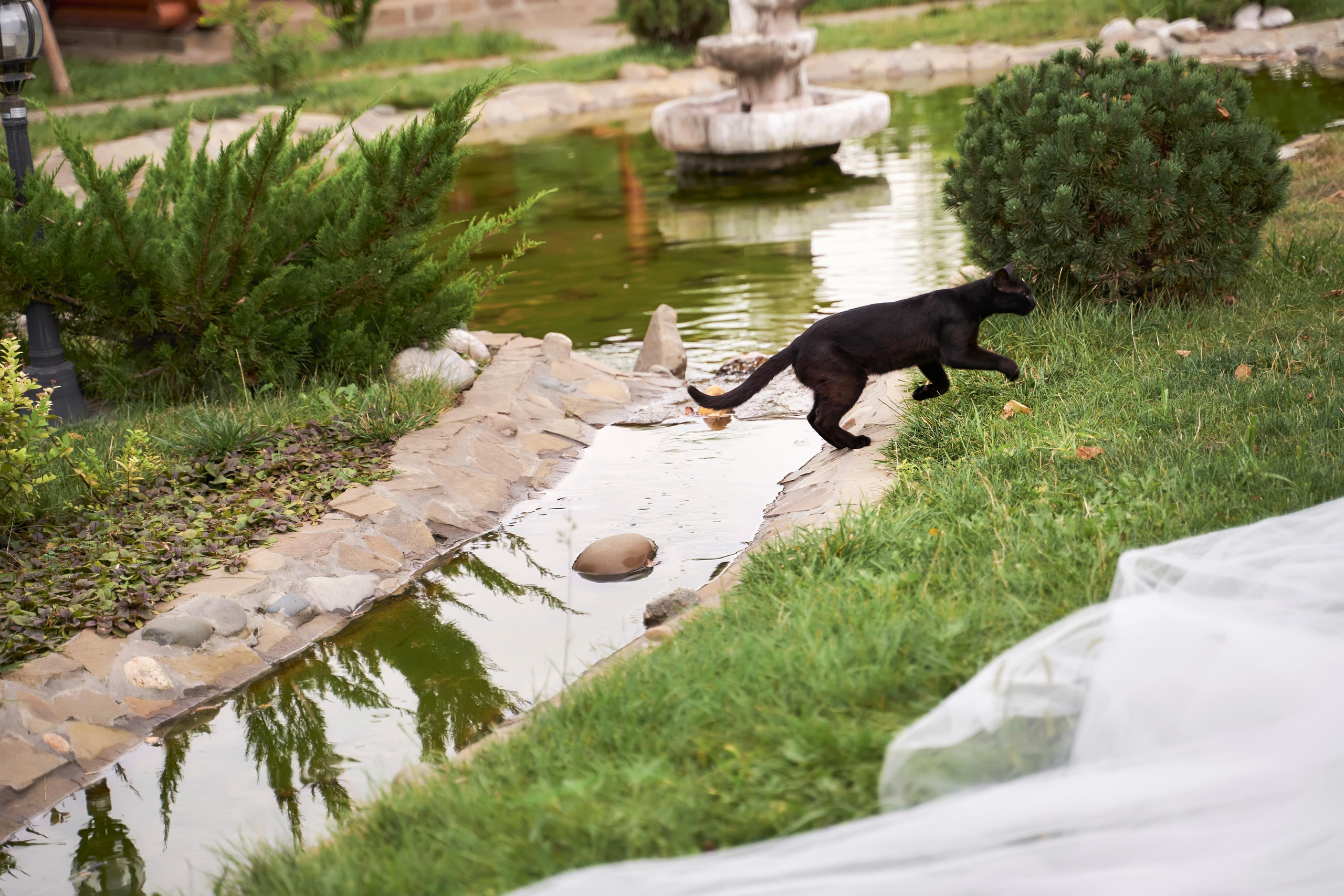 Свадьба в Усадьбе Фамилии. Фото и видео Twins Studio. ТВИНС СТУДИО — лучшие свадебные фотографы и видеографы в Краснодаре
