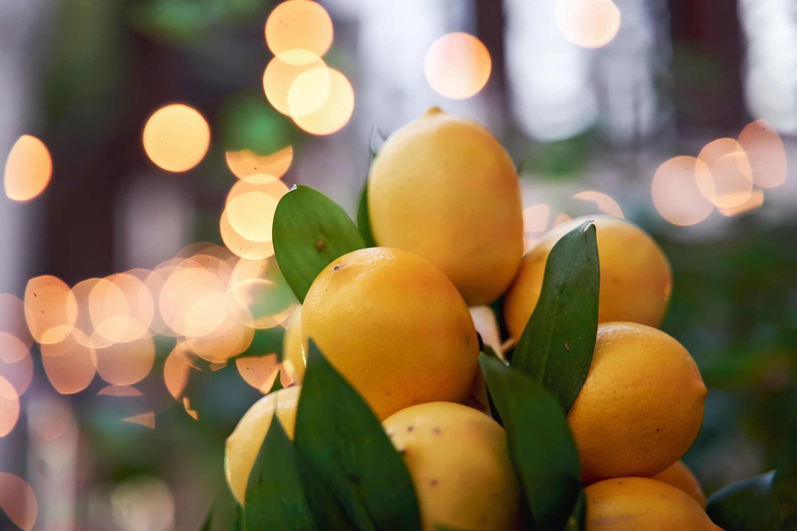 SAPG + TWINS STUDIO. ТВИНС СТУДИО — лучшие свадебные фотографы и видеографы в Краснодаре