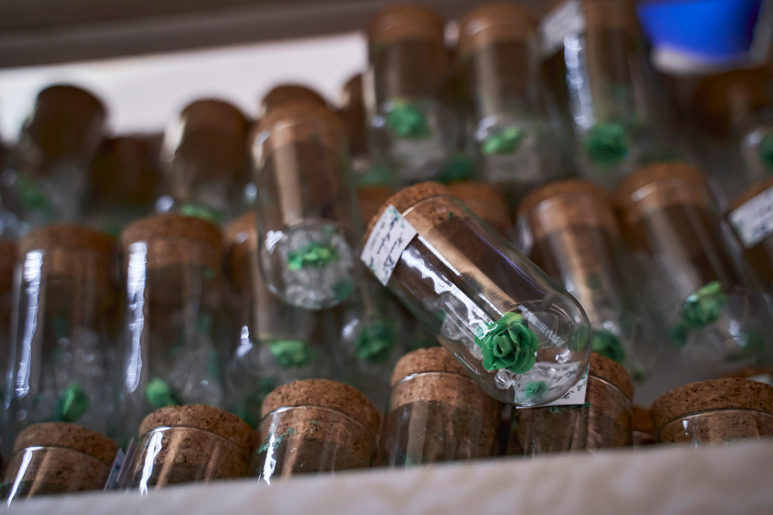 Красивая выездная регистрация в «Шато Де Талю» винодельня в Геленджике. ТВИНС СТУДИО — лучшие свадебные фотографы и видеографы в Краснодаре