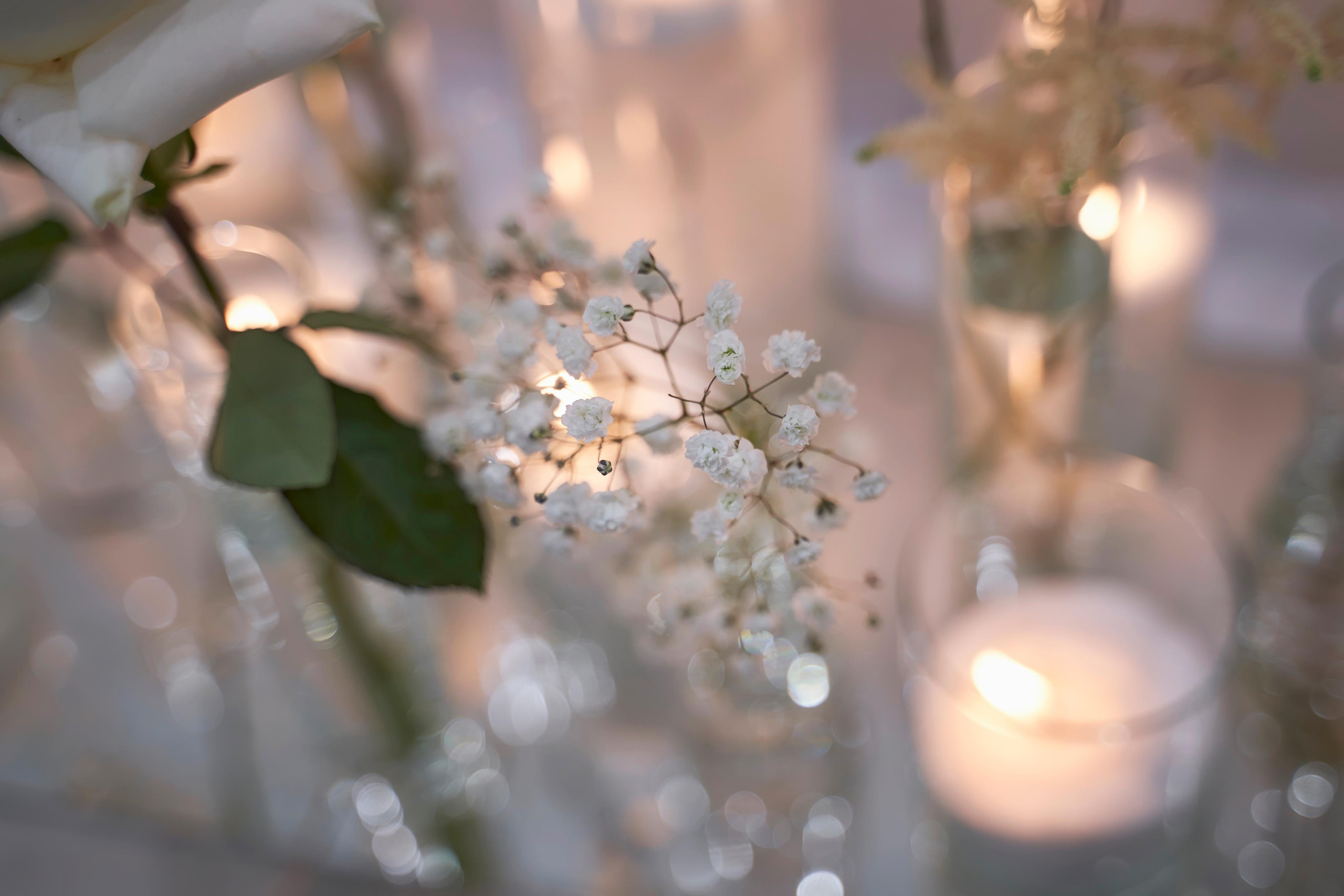 Свадьба в Усадьбе Фамилии. Фото и видео Twins Studio. ТВИНС СТУДИО — лучшие свадебные фотографы и видеографы в Краснодаре