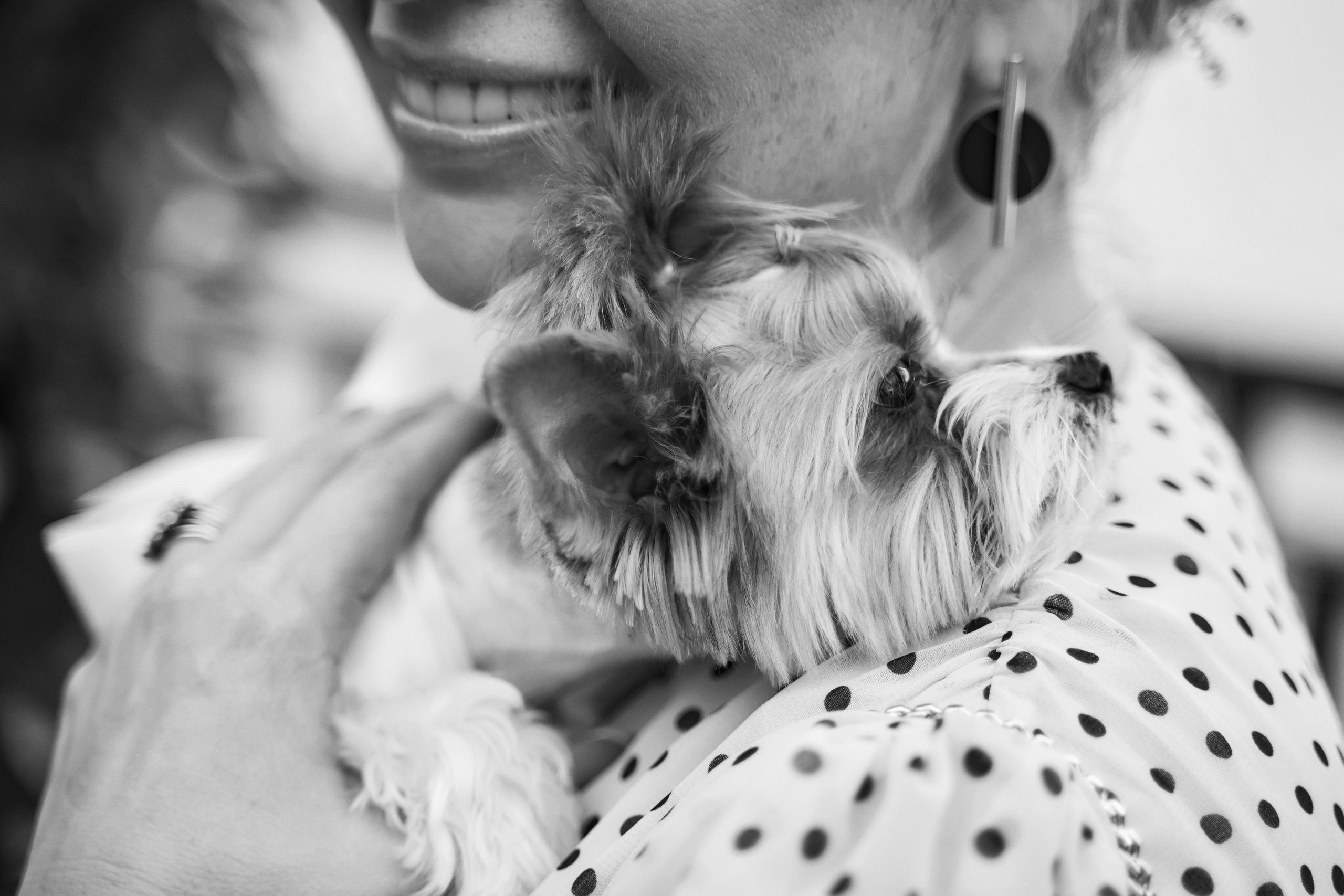 Свадьба в Усадьбе Фамилии. Фото и видео Twins Studio. ТВИНС СТУДИО — лучшие свадебные фотографы и видеографы в Краснодаре