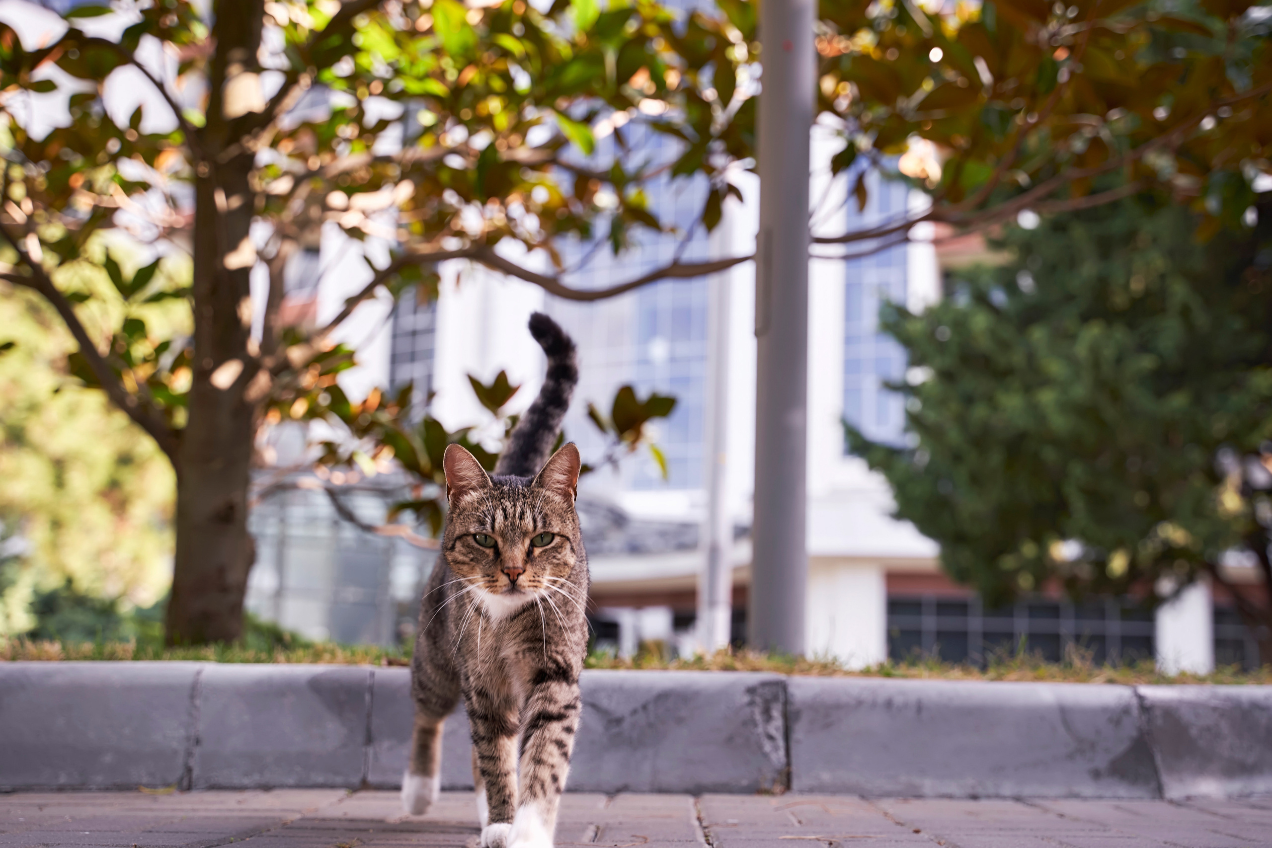 Красивая выездная регистрация в «Шато Де Талю» винодельня в Геленджике. ТВИНС СТУДИО — лучшие свадебные фотографы и видеографы в Краснодаре