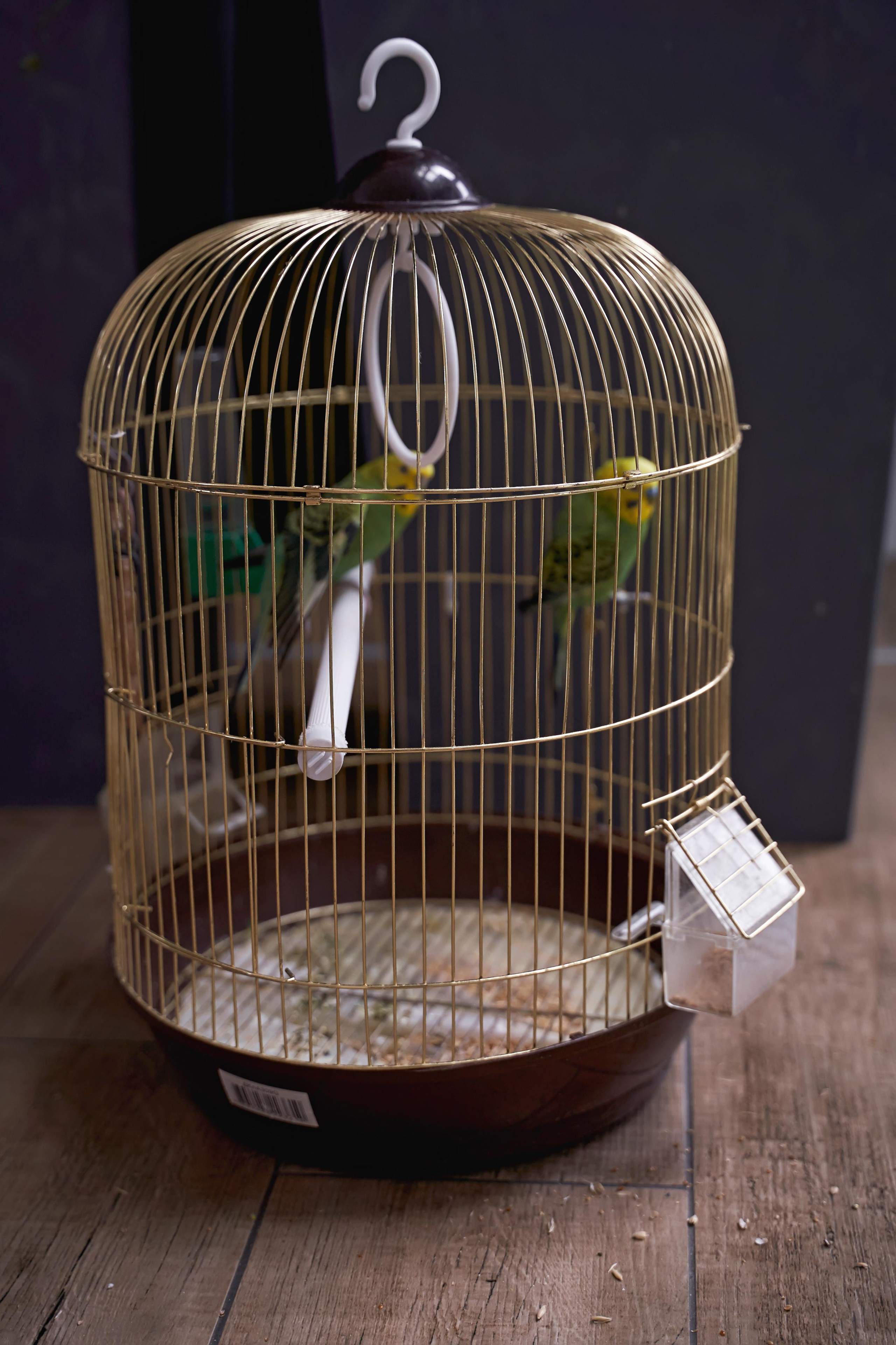 Самир Азарян и «три торнадо» Семейная фотосъёмка от Твинс Студио. ТВИНС СТУДИО — лучшие свадебные фотографы и видеографы в Краснодаре