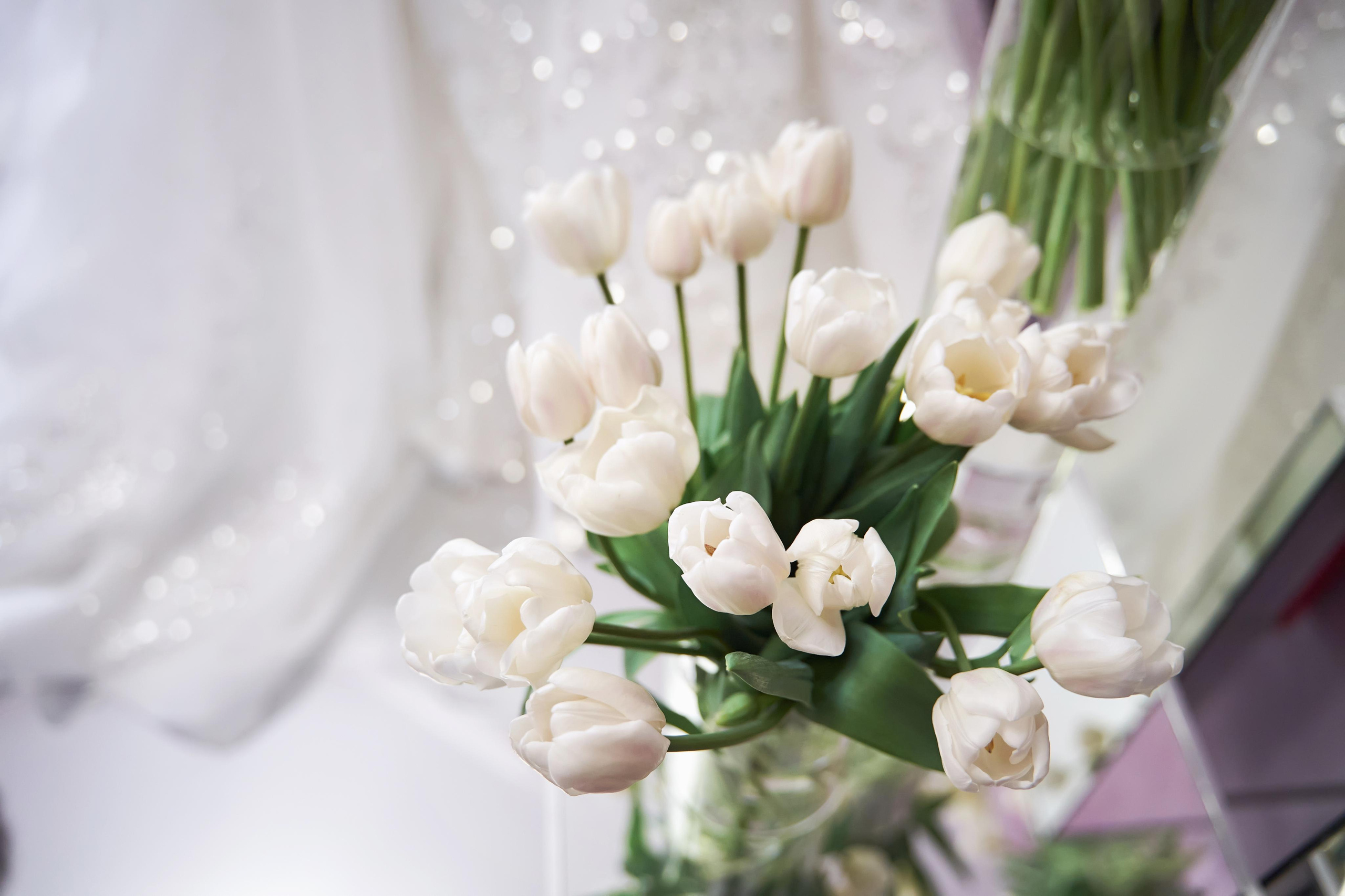 Красивая Армянская свадьба в Краснодаре от SAPG wedding. ТВИНС СТУДИО — лучшие свадебные фотографы и видеографы в Краснодаре