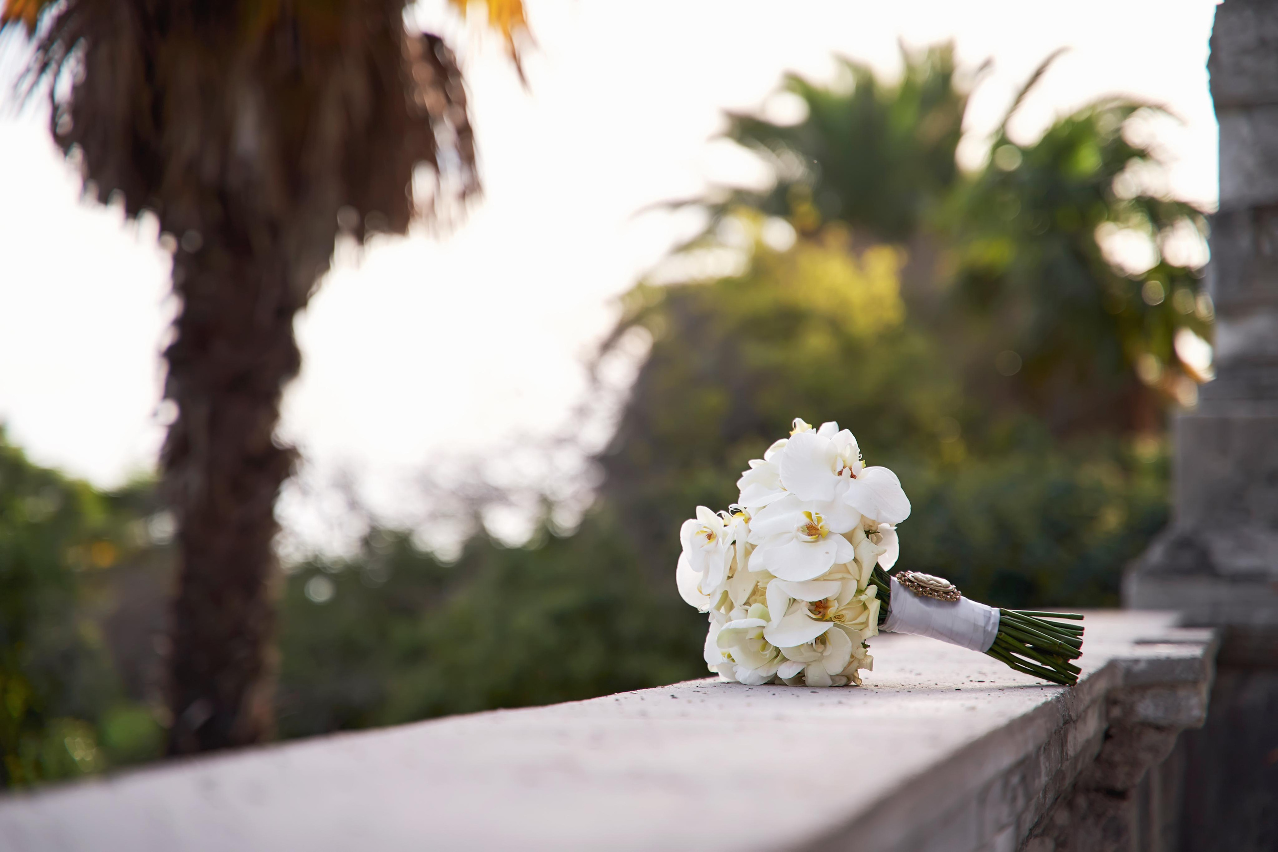 SAPG + TWINS STUDIO. ТВИНС СТУДИО — лучшие свадебные фотографы и видеографы в Краснодаре