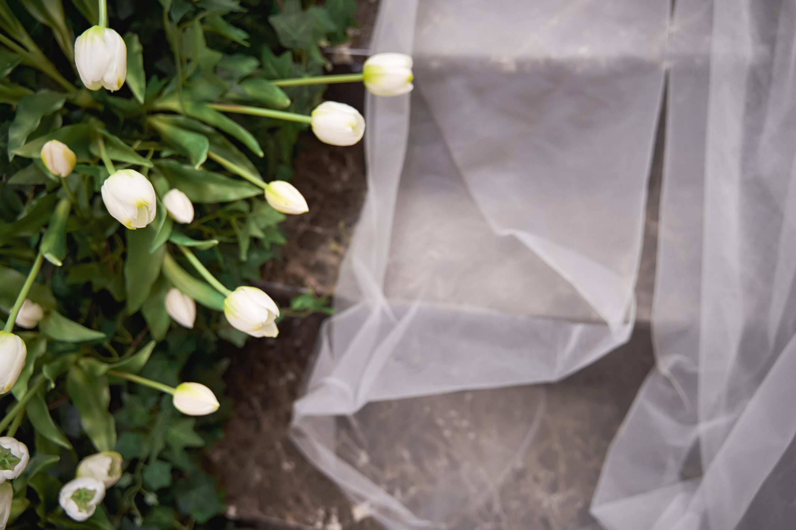 Красивая Армянская свадьба в Краснодаре от SAPG wedding. ТВИНС СТУДИО — лучшие свадебные фотографы и видеографы в Краснодаре