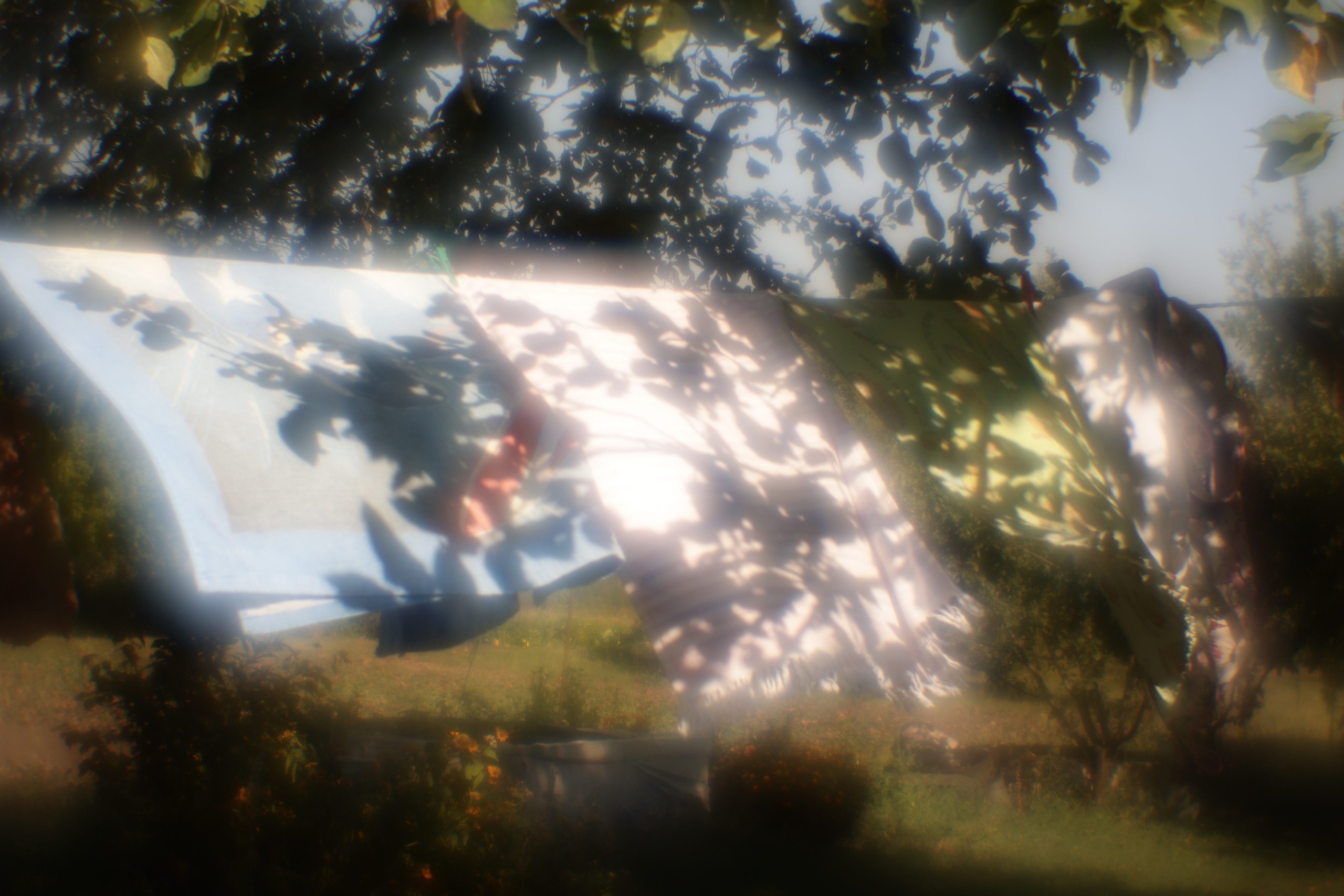 Пикториальный альбом. Семейный LIFESTYLE фотограф в Москве