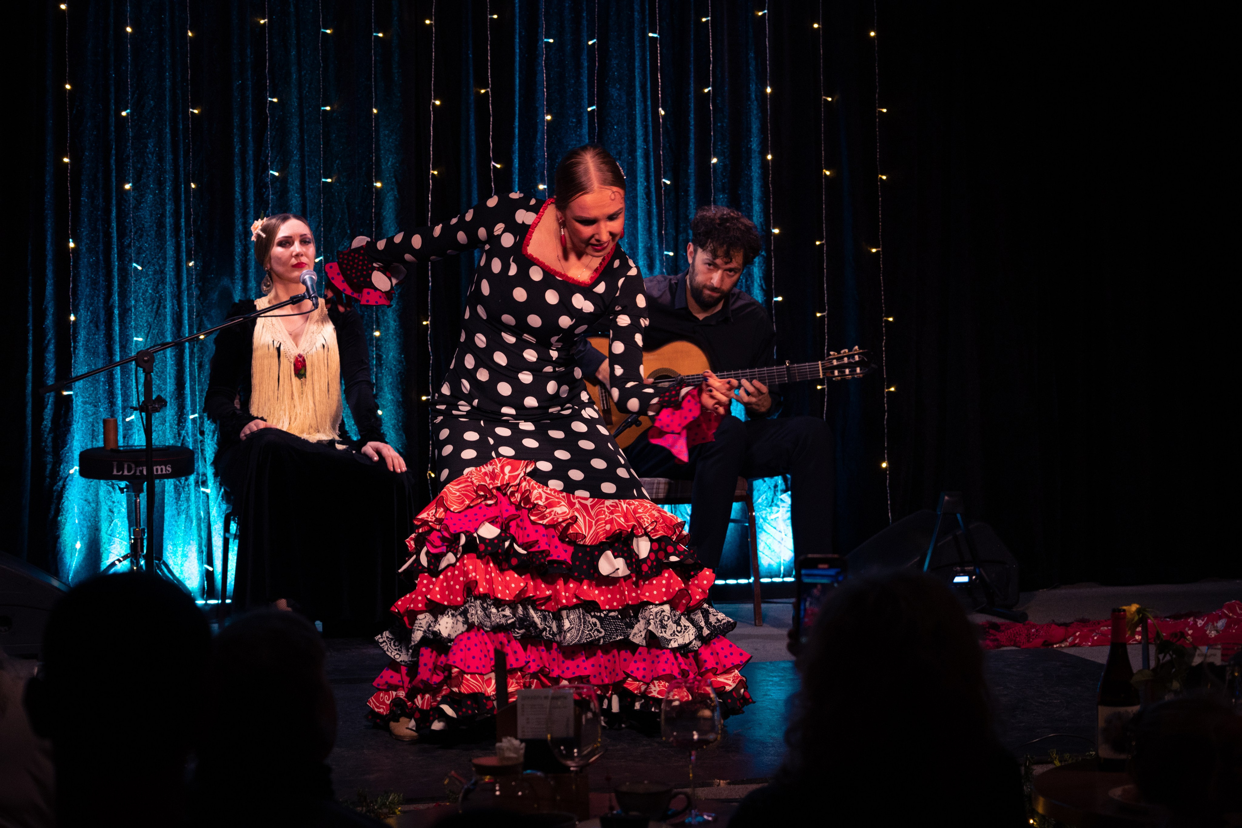 Flamenco 02.01.2025. Индивидуальные съемки, портретный фотограф