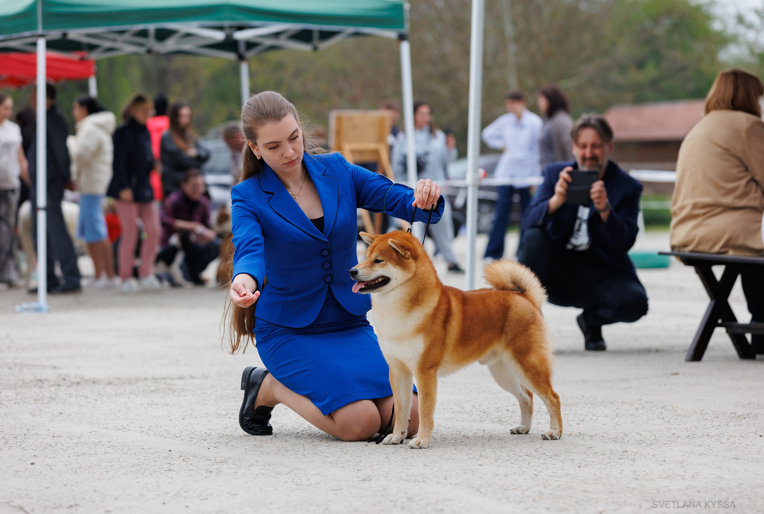 Фото с выставки собак. Фотограф — анималист Светлана Кысса|фотограф собак в Краснодаре и Нижнем Новгороде