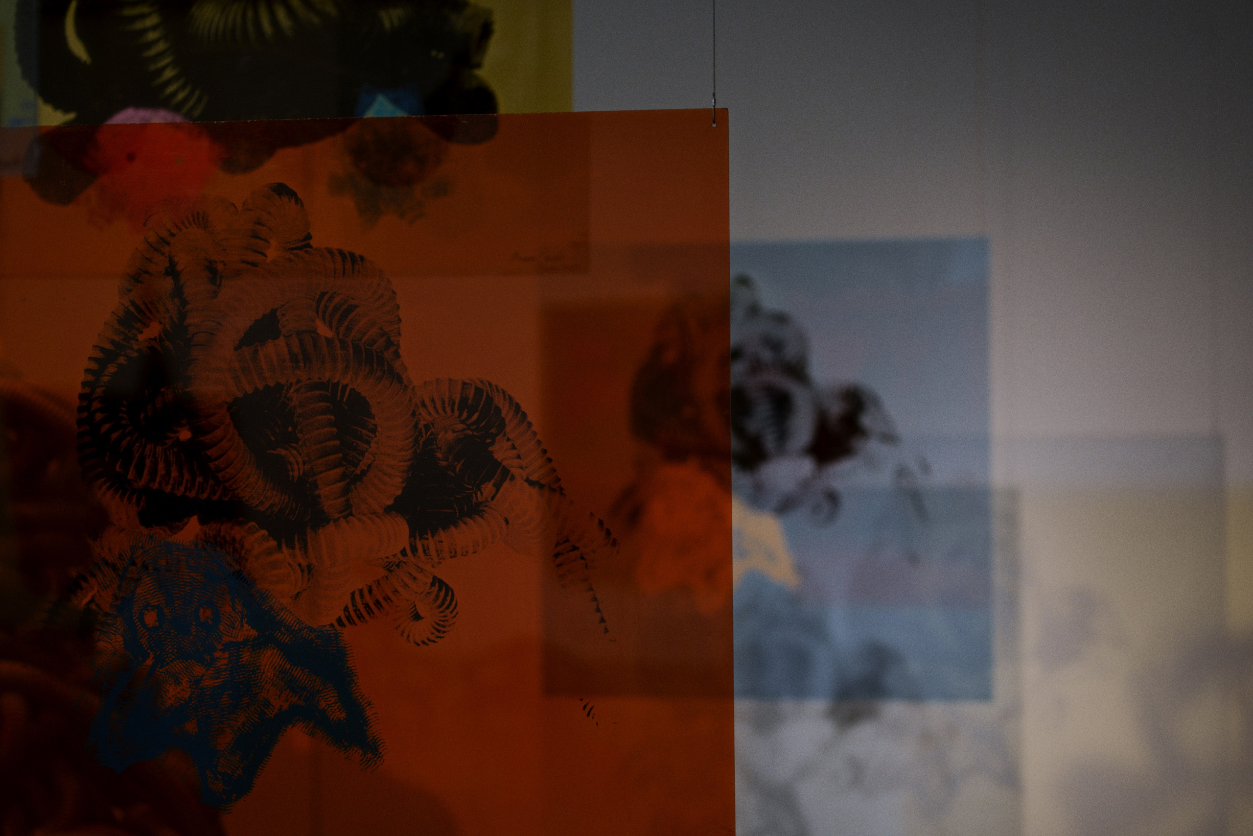 Istanbul Modern. Фотограф Юрин Евгений