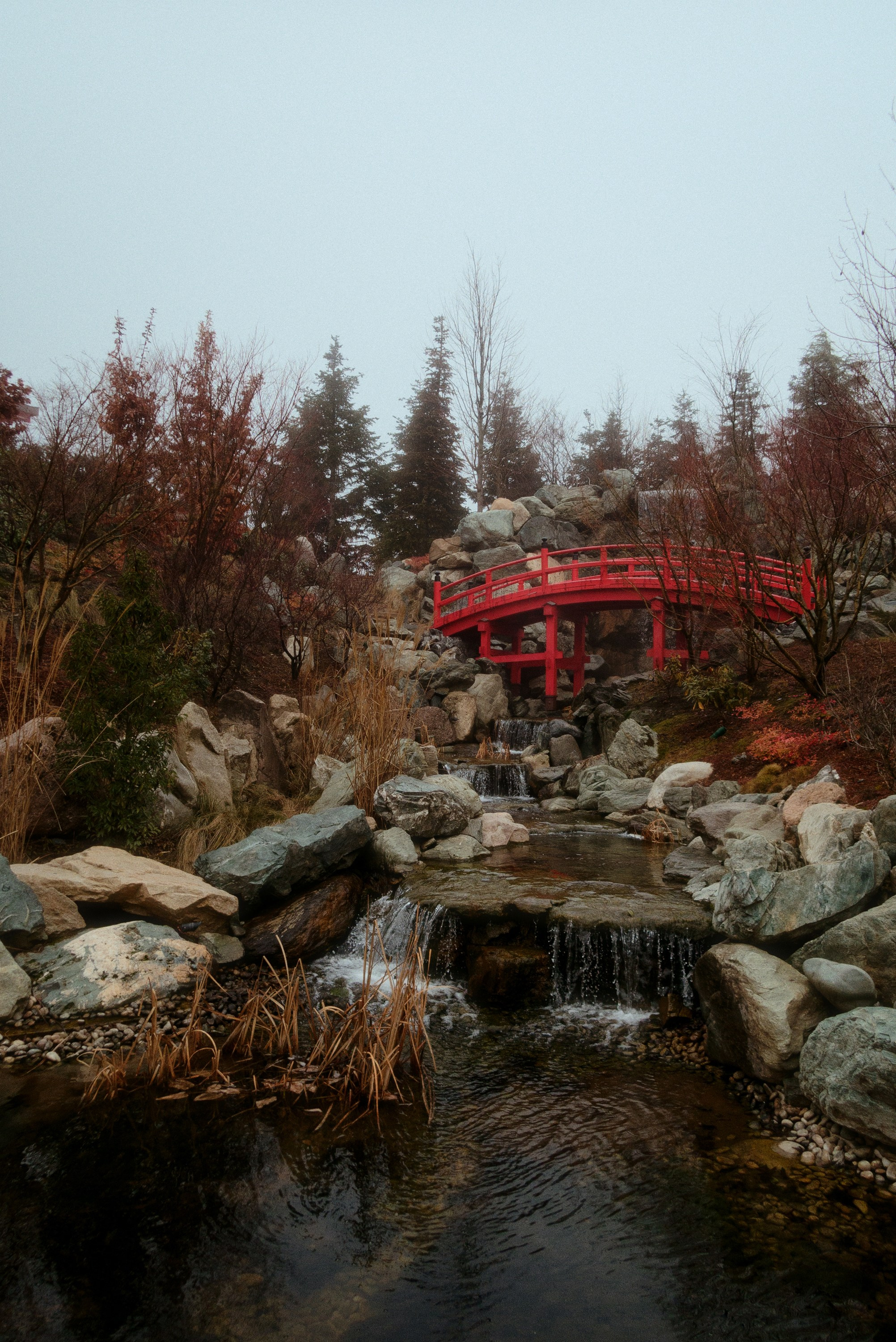 OM-System Tough-7 / Park Krasnodar (japan). Фотограф Юрин Евгений