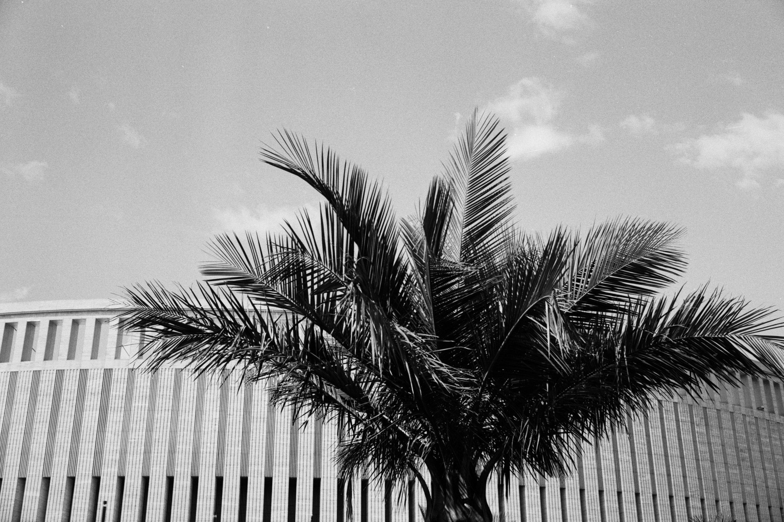 Krasnodar / fmp 100. Фотограф Юрин Евгений