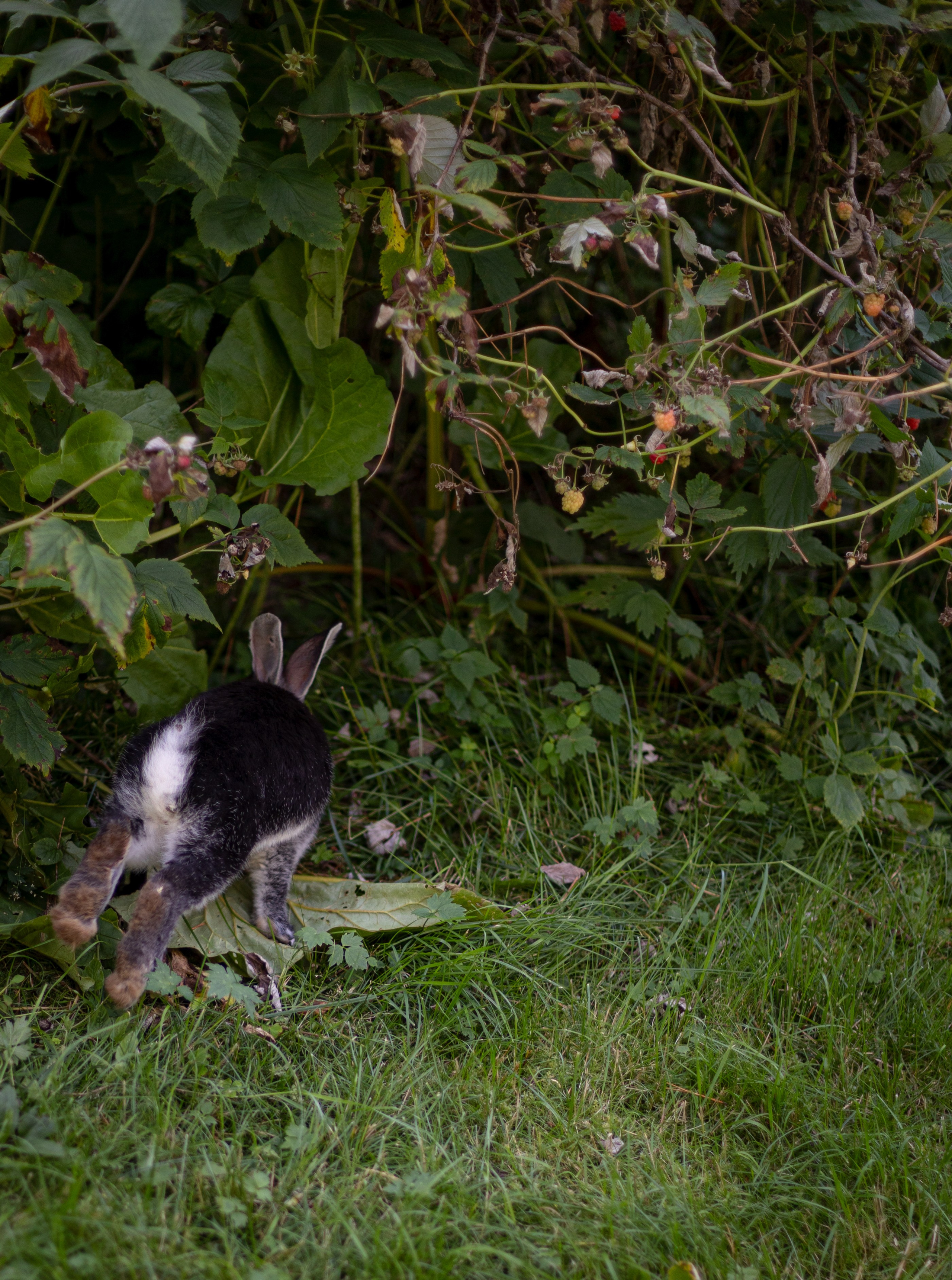 Аюна и Артем. Ваш фотограф — Александра Андрущенко
