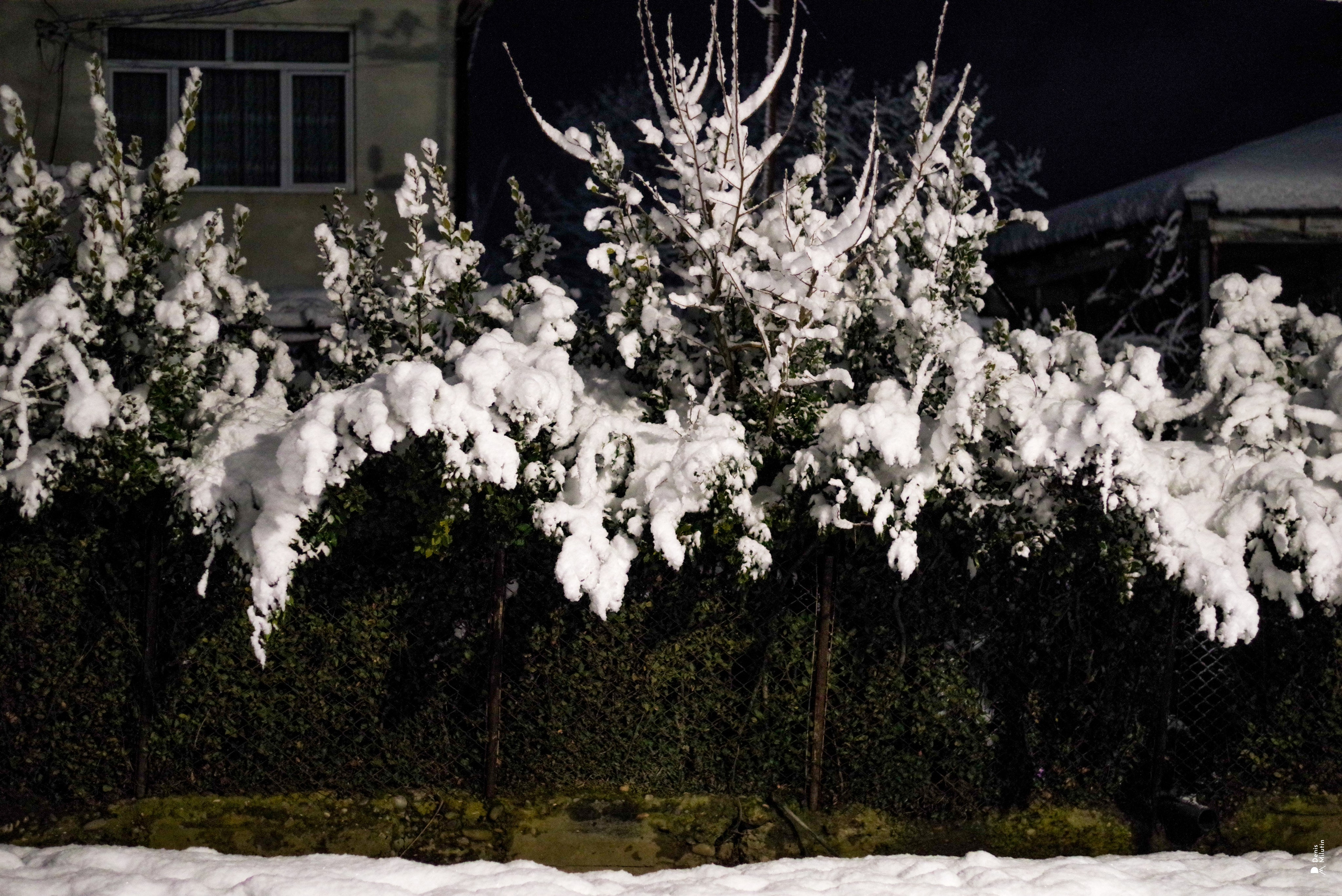 Ночь в Менджи. Портретный фотограф Денис Милютин