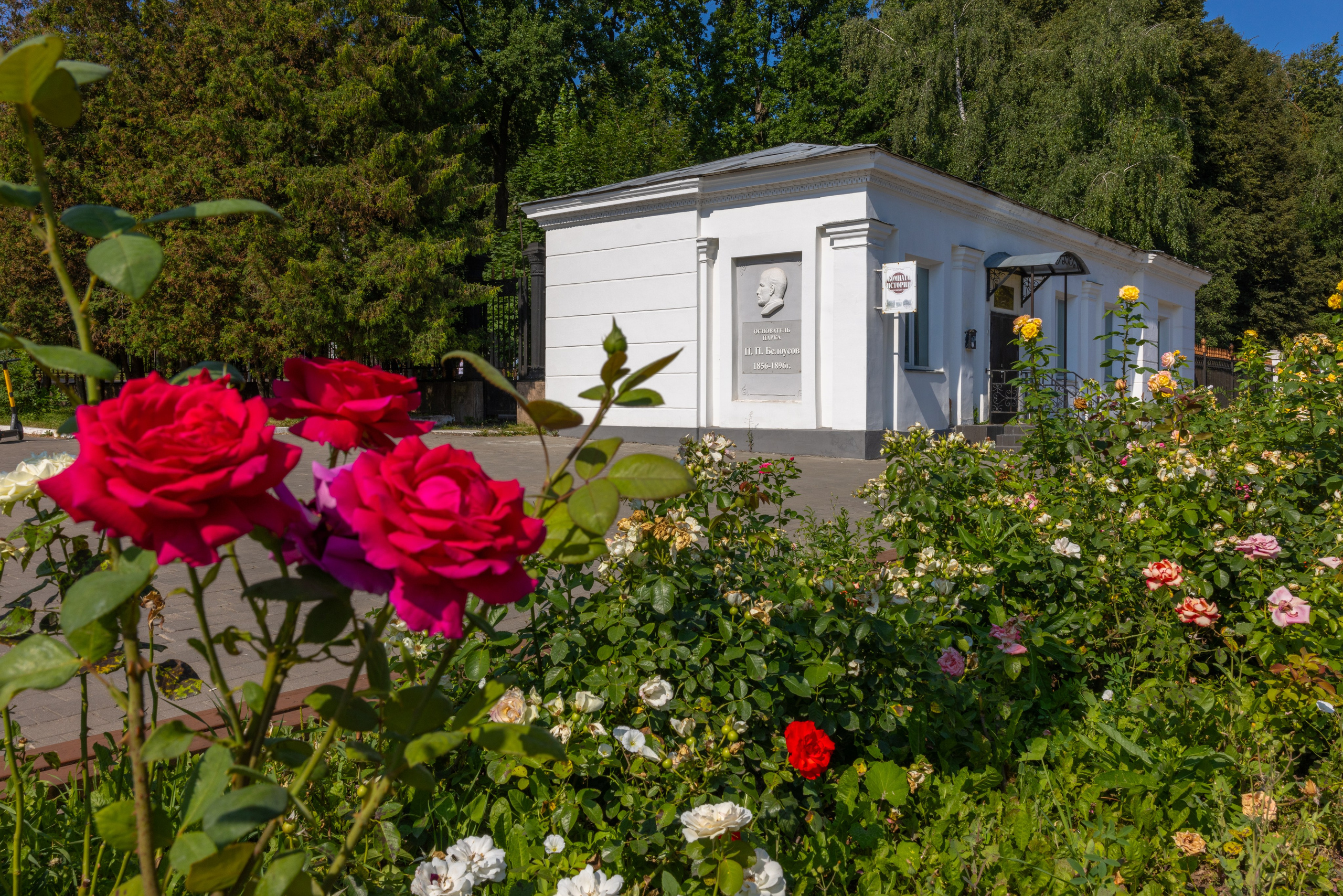 Парк им. П. П. Белоусова г. Тула 2024 г. Фотограф в Туле Крупский АнДРей. Фотостудия «КАДР71» в Туле