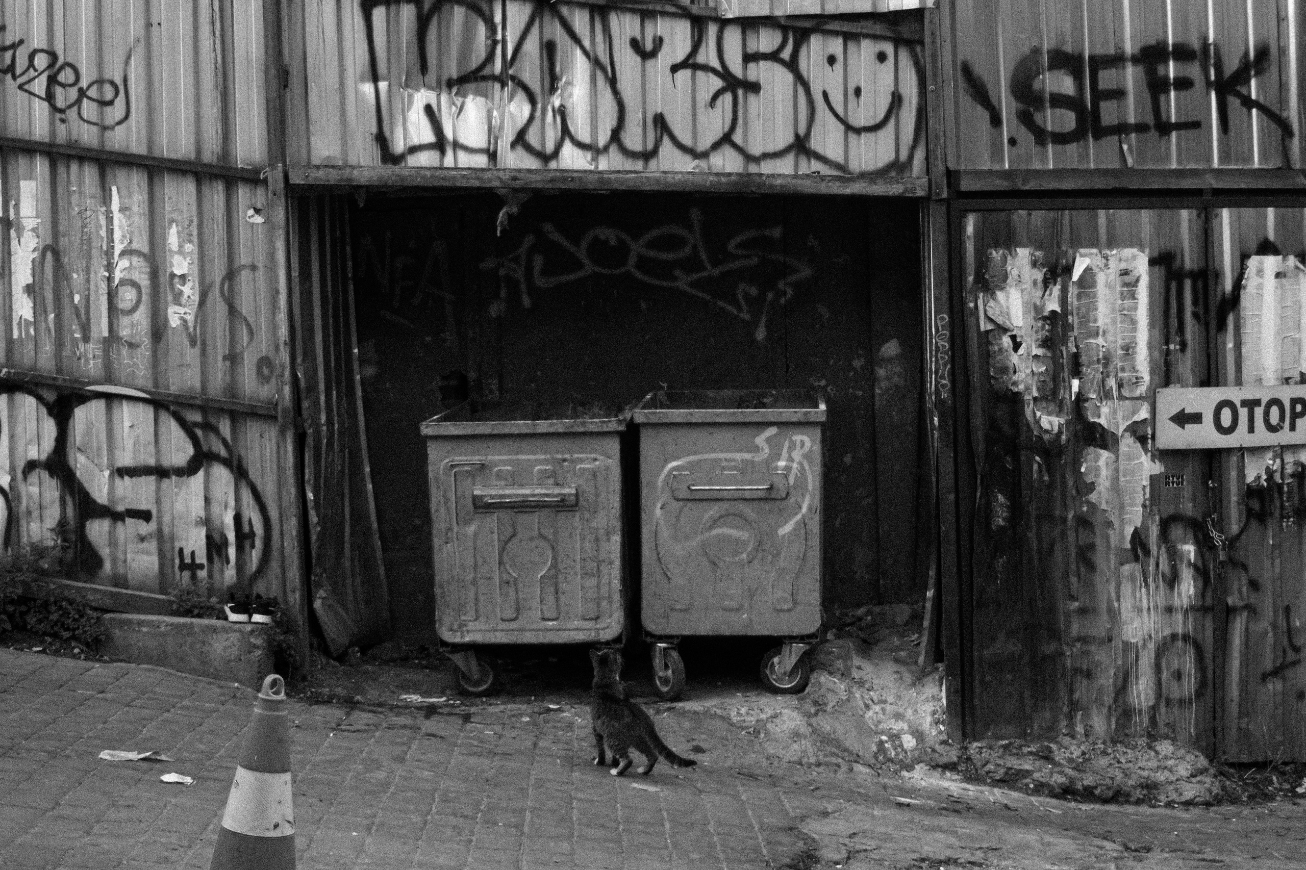 Животные. Фотограф Москва, портрет, стрит, репортаж. Художественная фотосессия