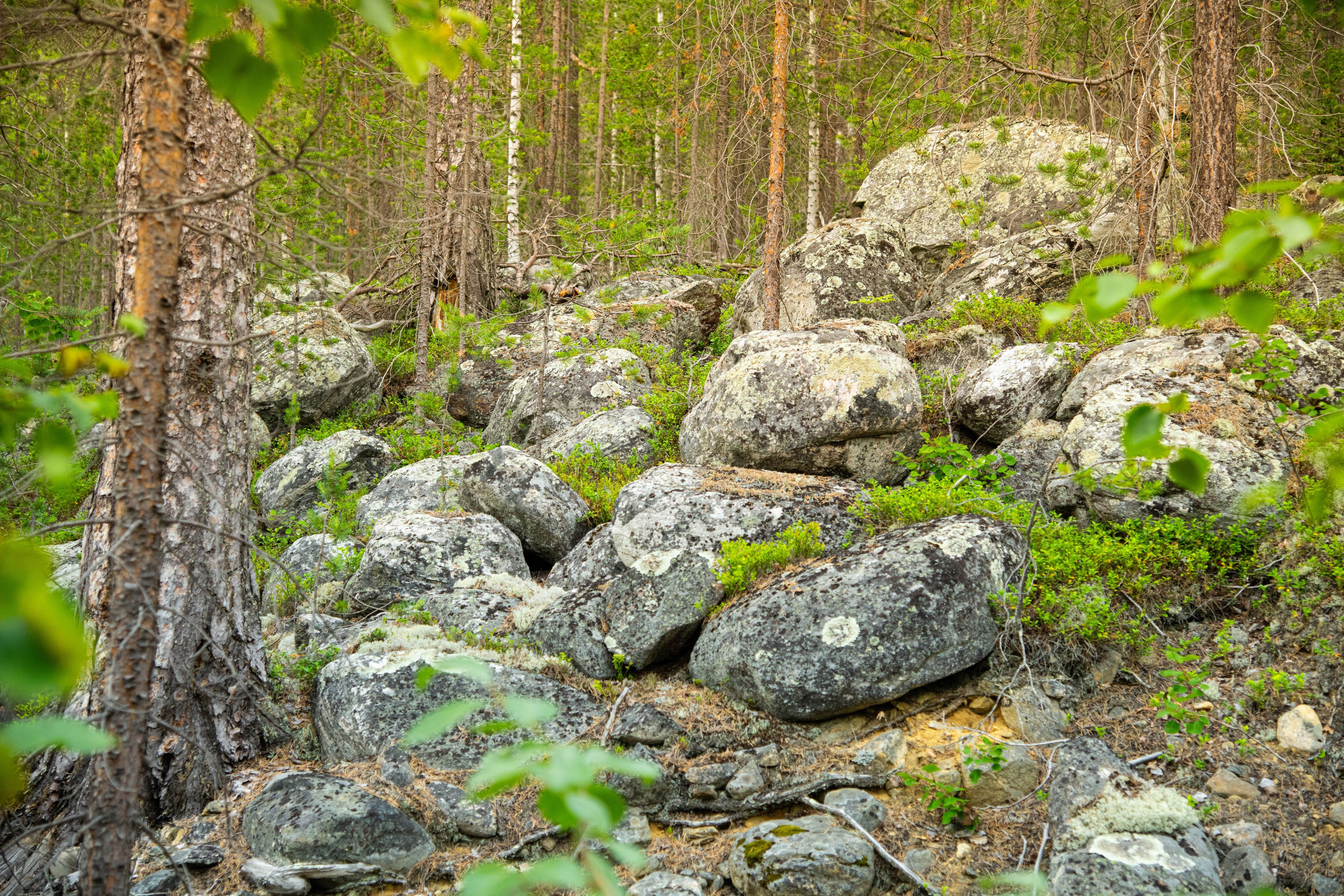 Кольский полуостров. Фотографирую для себя, своей семьи и друзей!