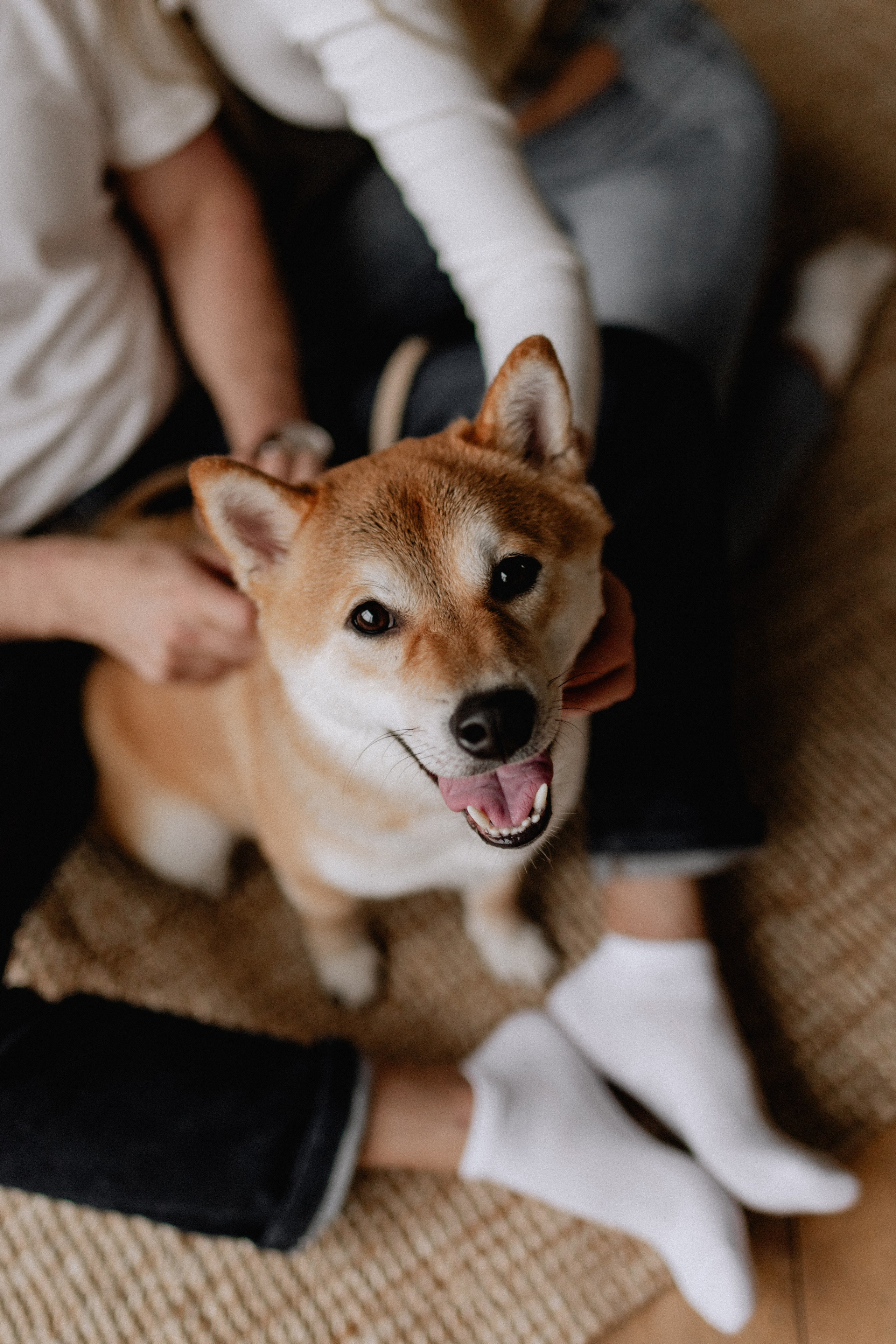 Love story это про любовь. Фотограф в Краснодаре и Краснодарском Крае