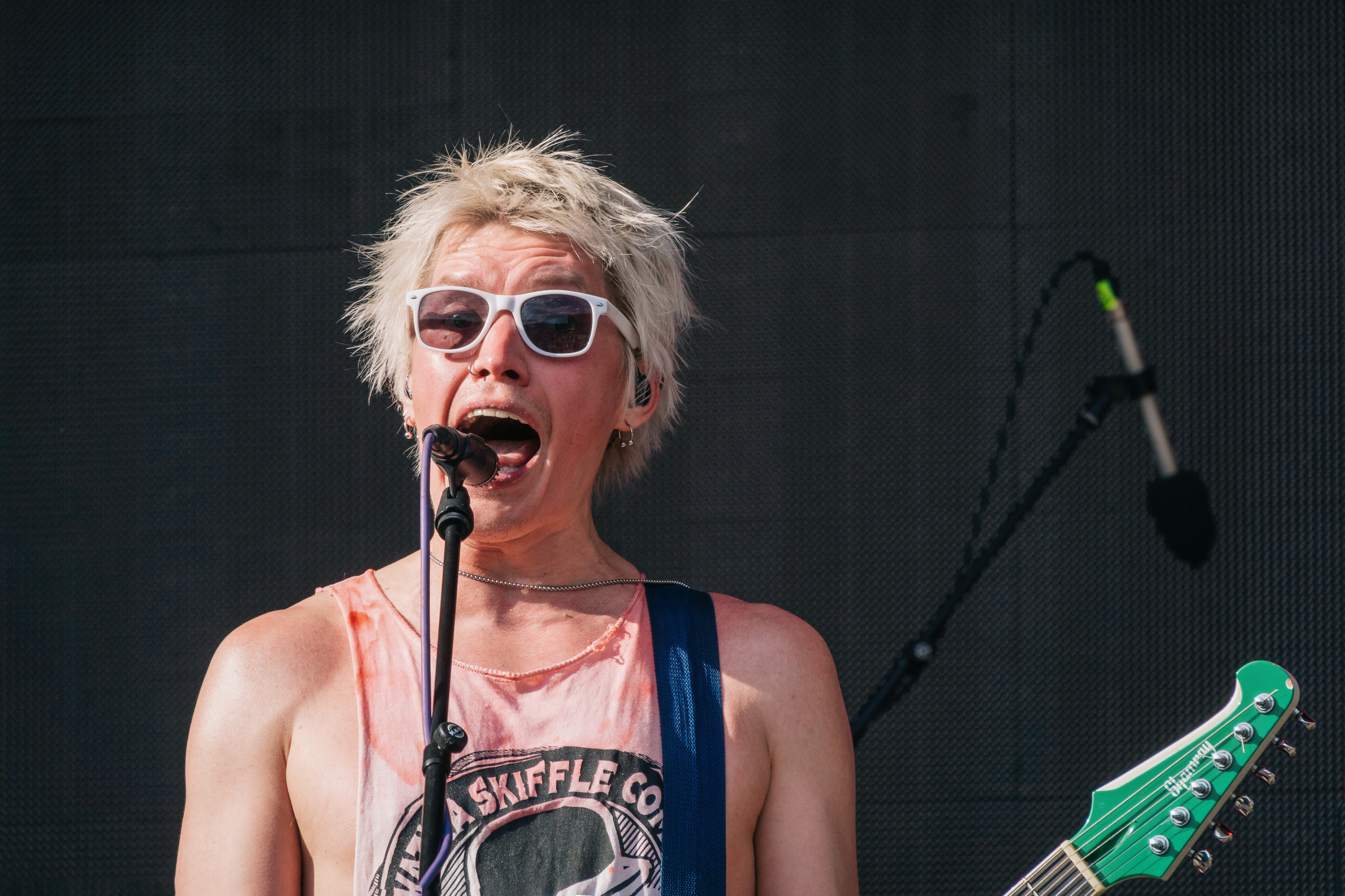 Полигон Фест. Мск. 18.06.2023. Фотограф-анималист в Москве Юлия Лайхо