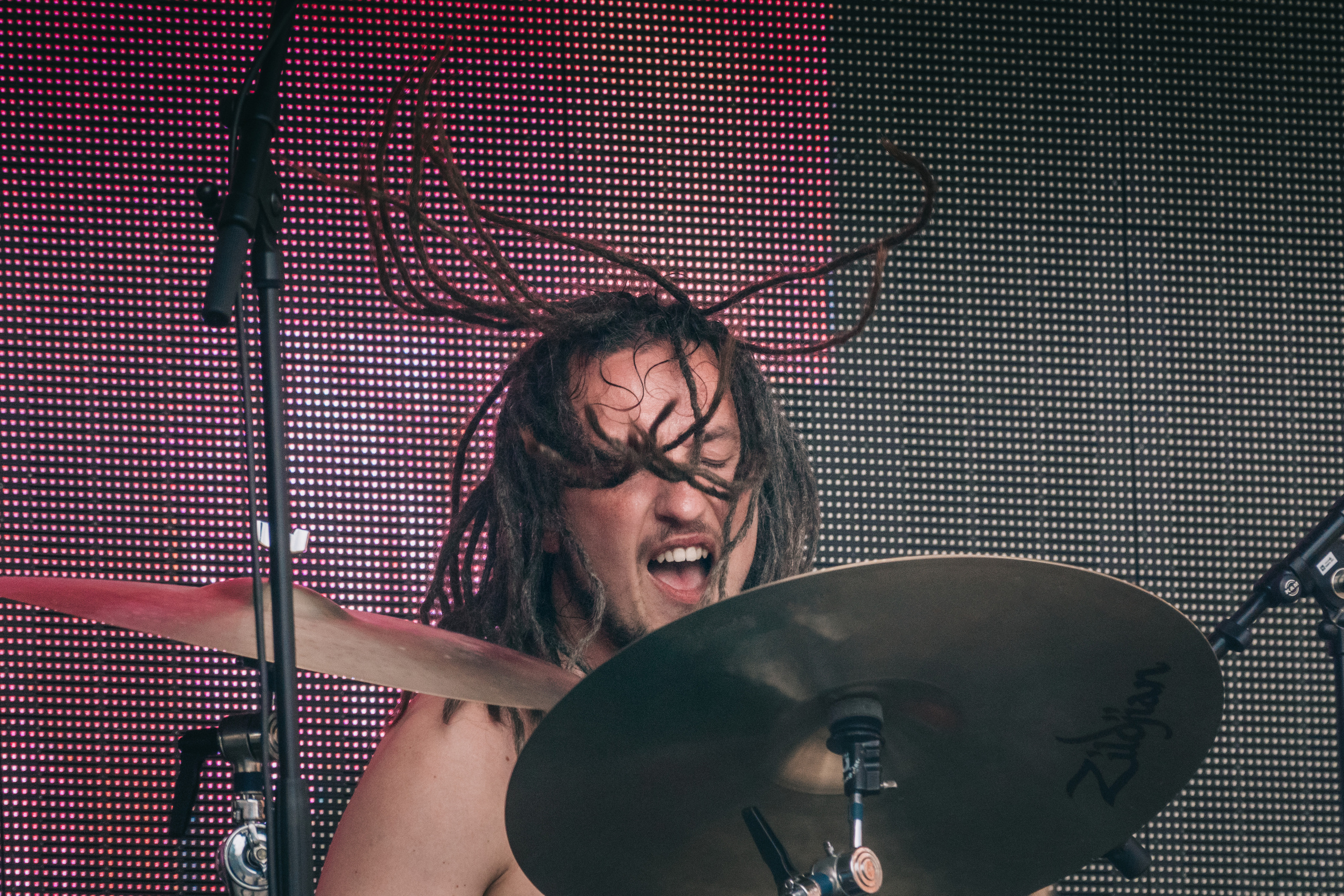 Полигон Фест. Мск. 18.06.2023. Фотограф-анималист в Москве Юлия Лайхо