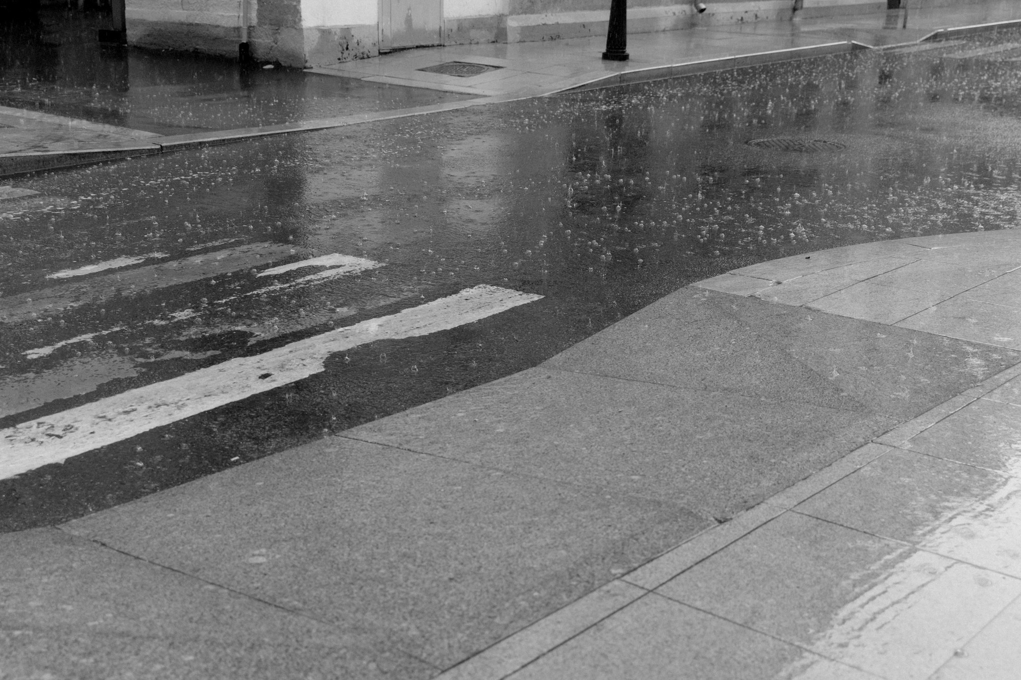 Ира и Дима — Архангельское. Фотограф Сергиев Посад Москва Хованская Екатерина