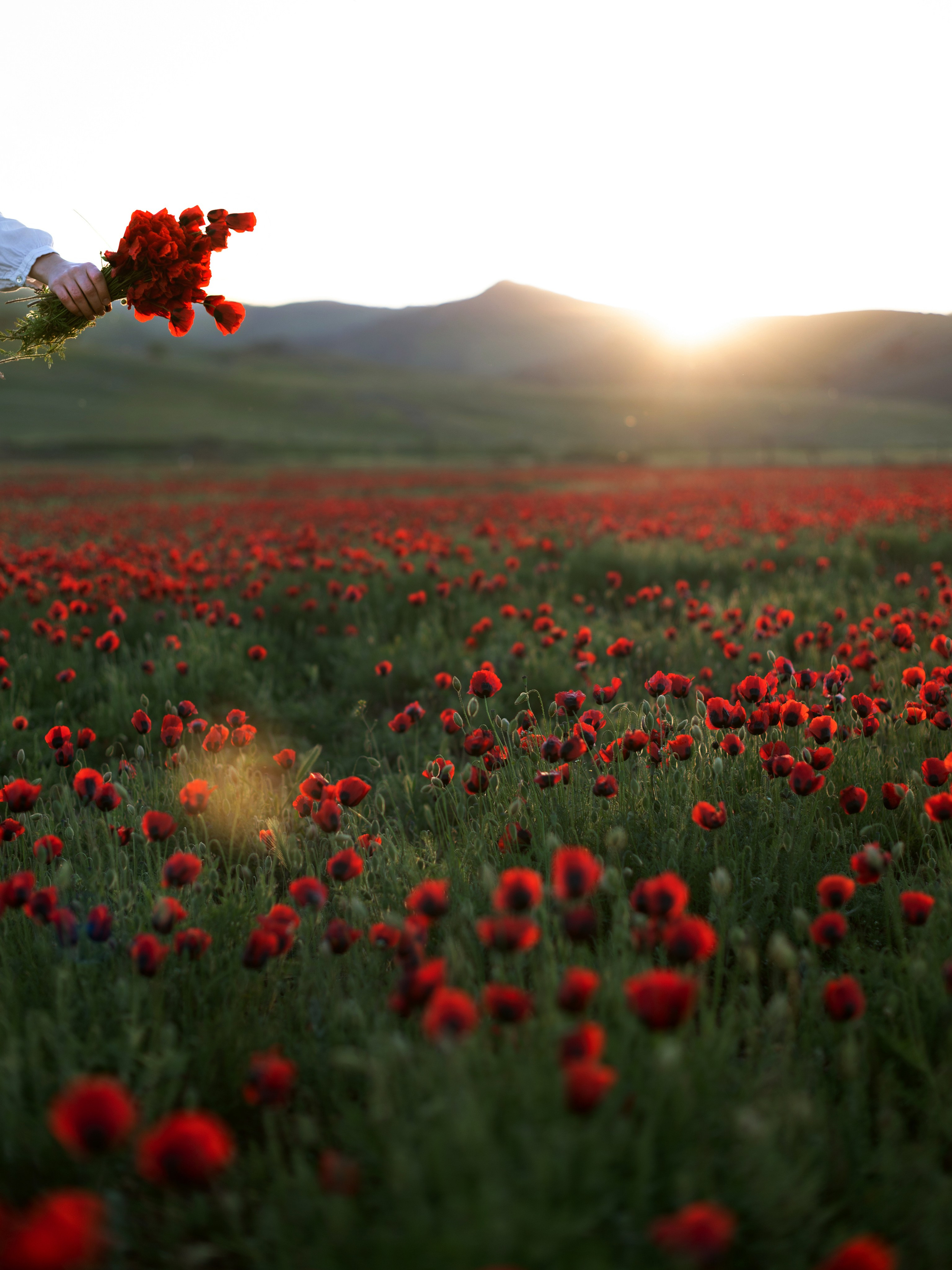 ADIAN. Главная