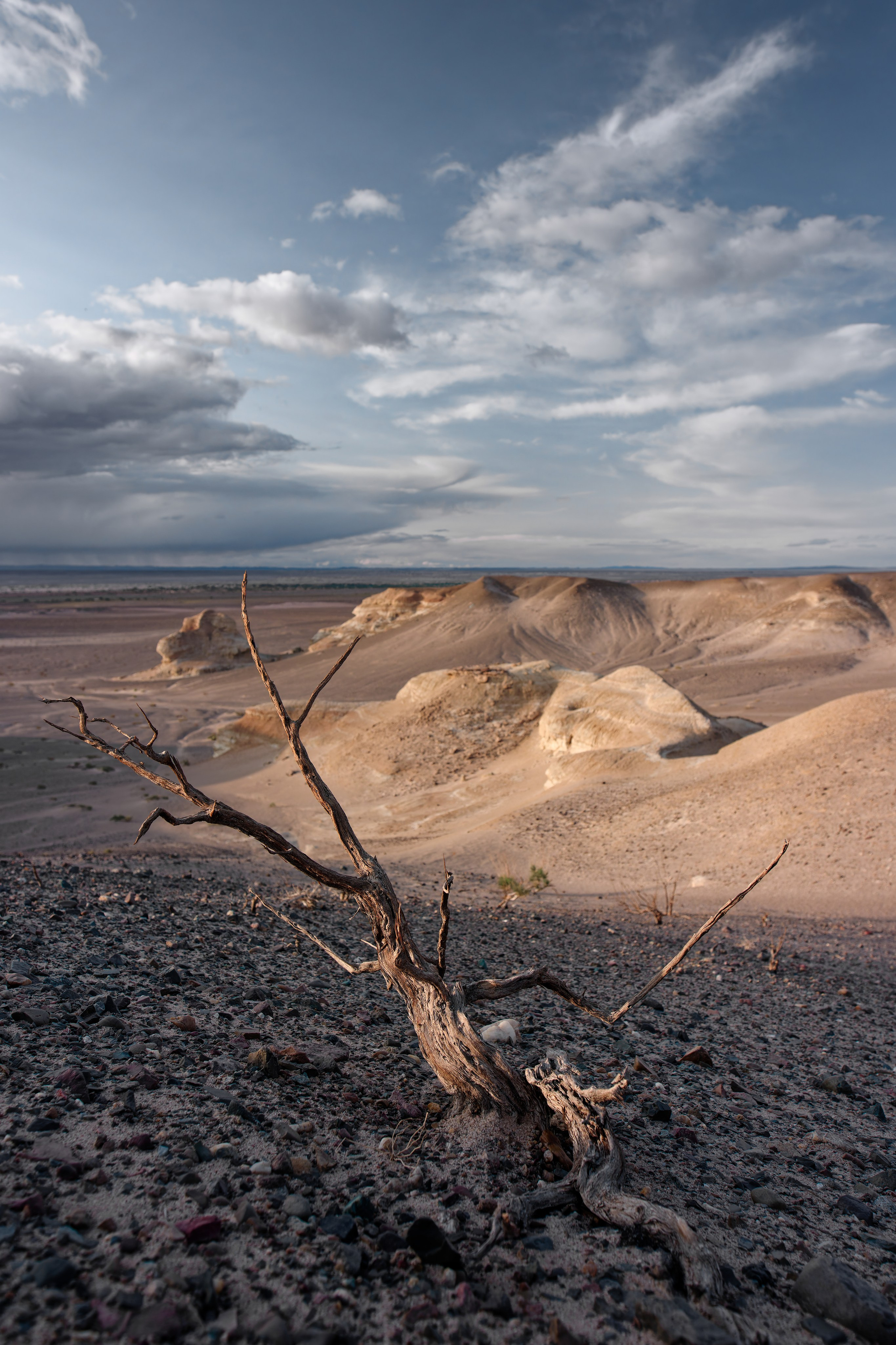 Экспедиция в Монголию (Гоби). Семоха Валерий. Фотограф