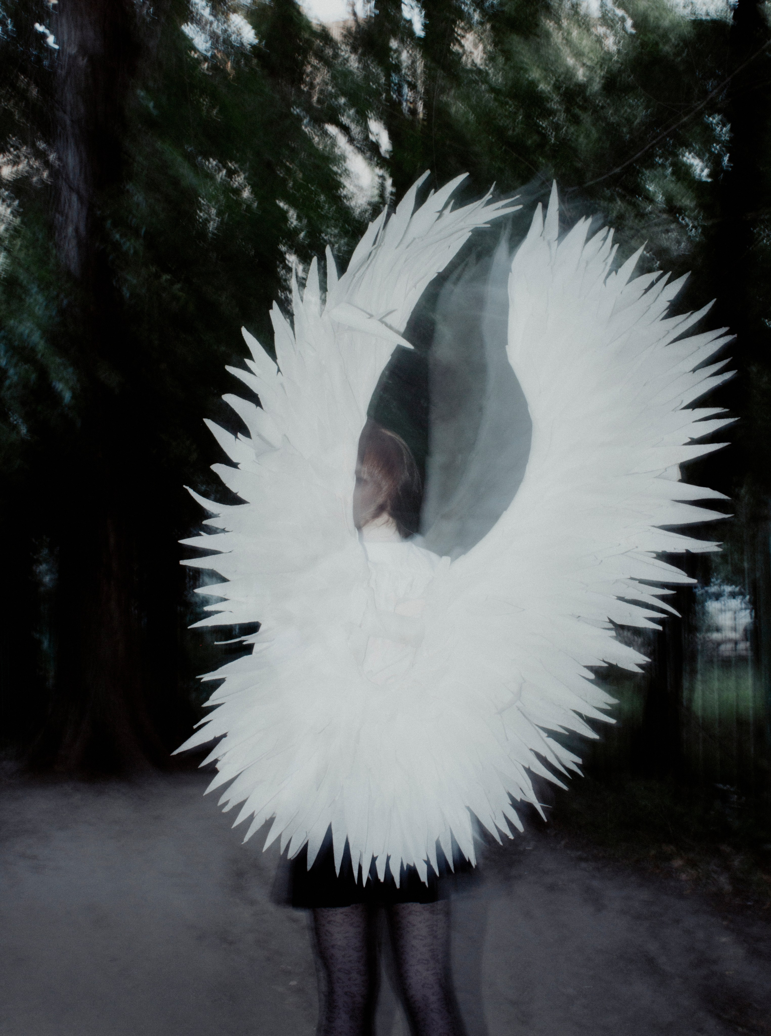 Ксюша крылья. Маська