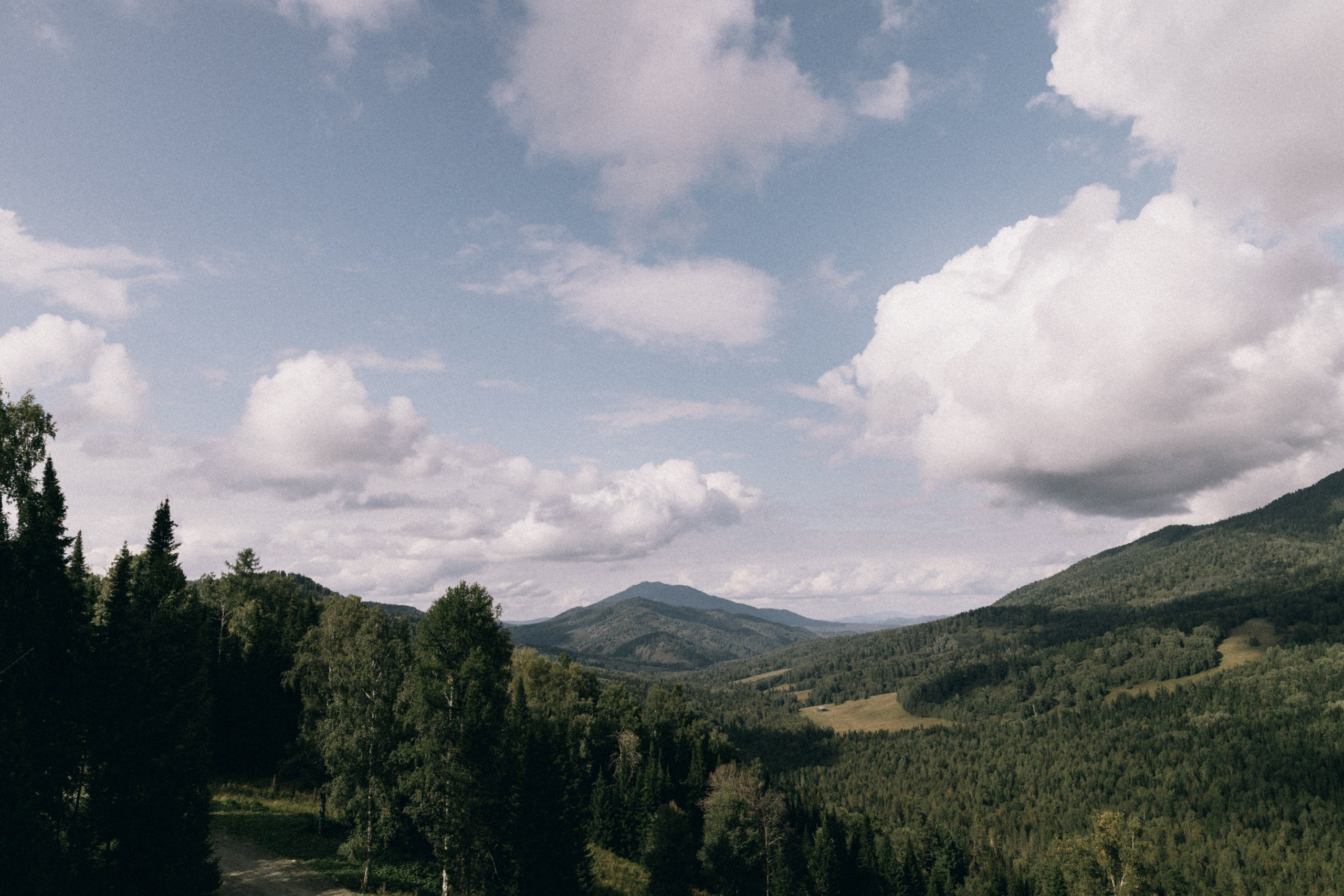 Алтай, природа и эстетика. Александр Чернин. Семейный и событийный фотограф