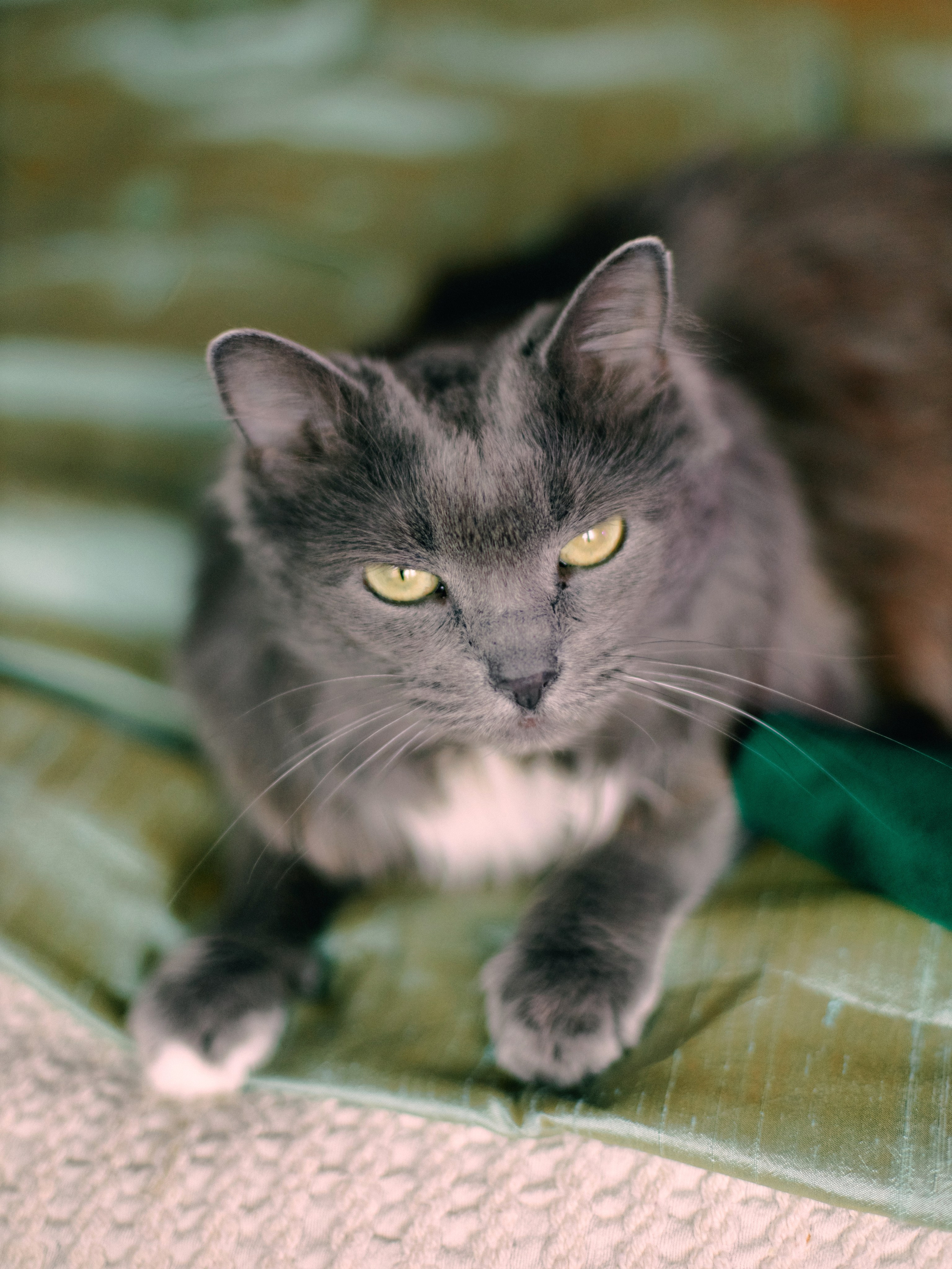Аленка. Профессиональный Фотограф во Владимире, в Москве и в Суздале — Полина Романычева