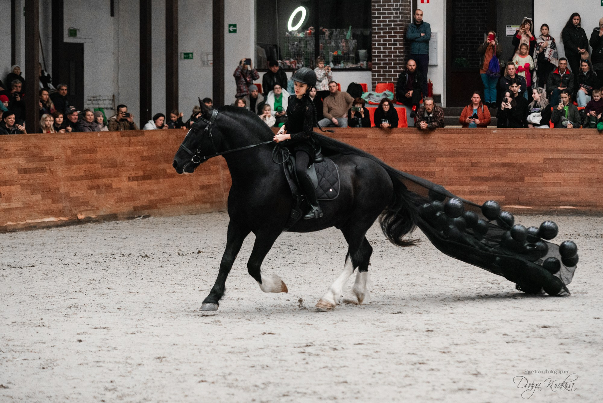8-я международная выставка Конная Россия. Конный фотограф Куракина Дарья • Фотосессии с лошадьми