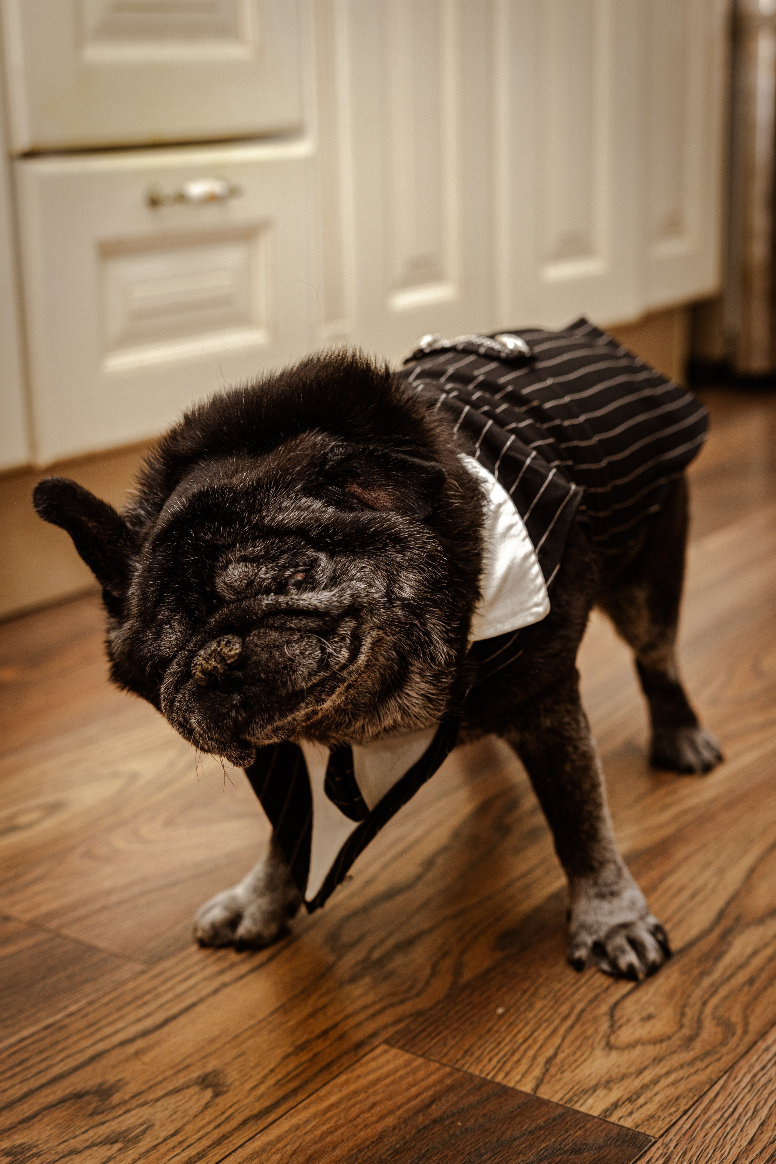 Свадьба Ксении и Думитру. Виктория Зудина — фотограф в Москве