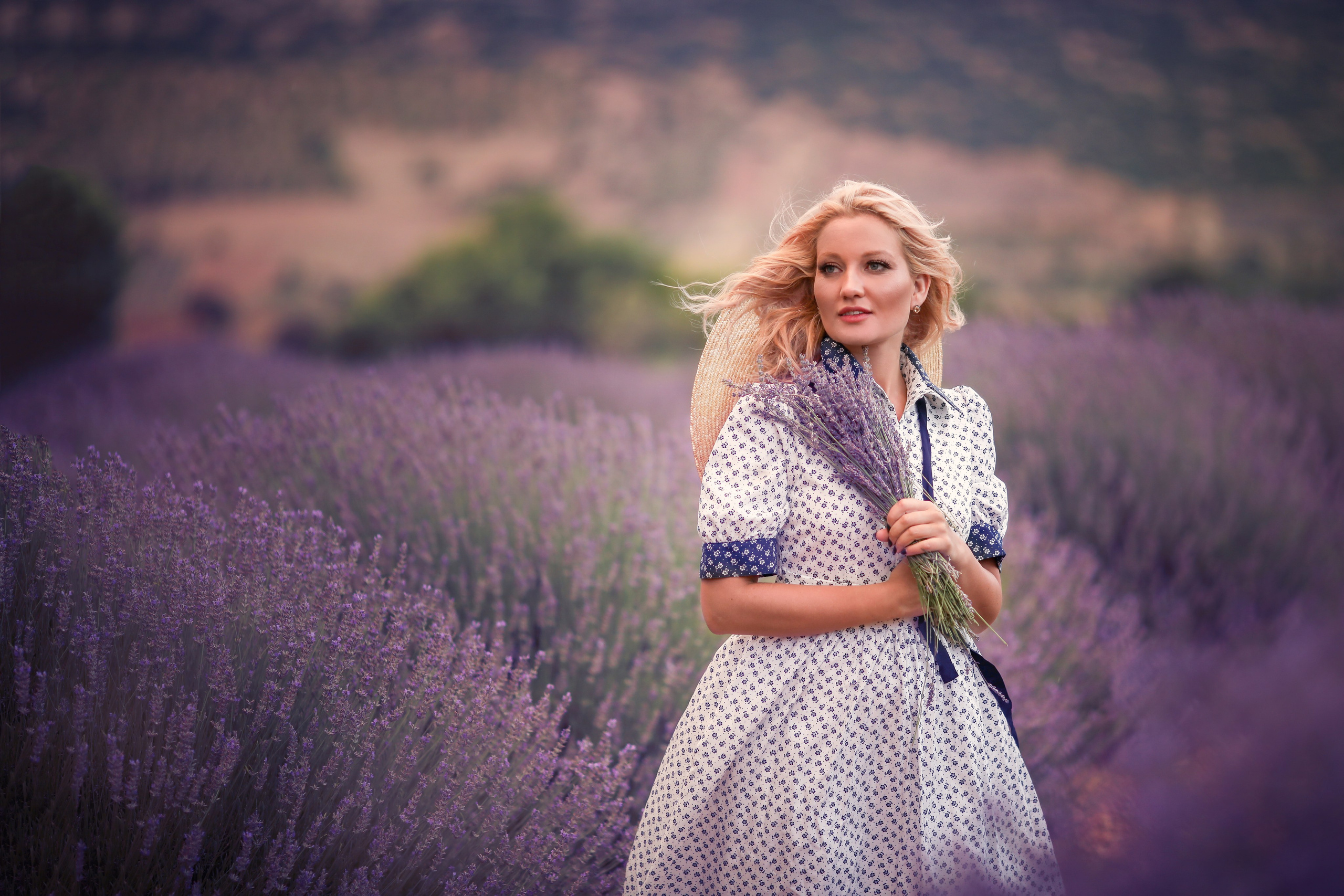 Lavender fields in Turkey