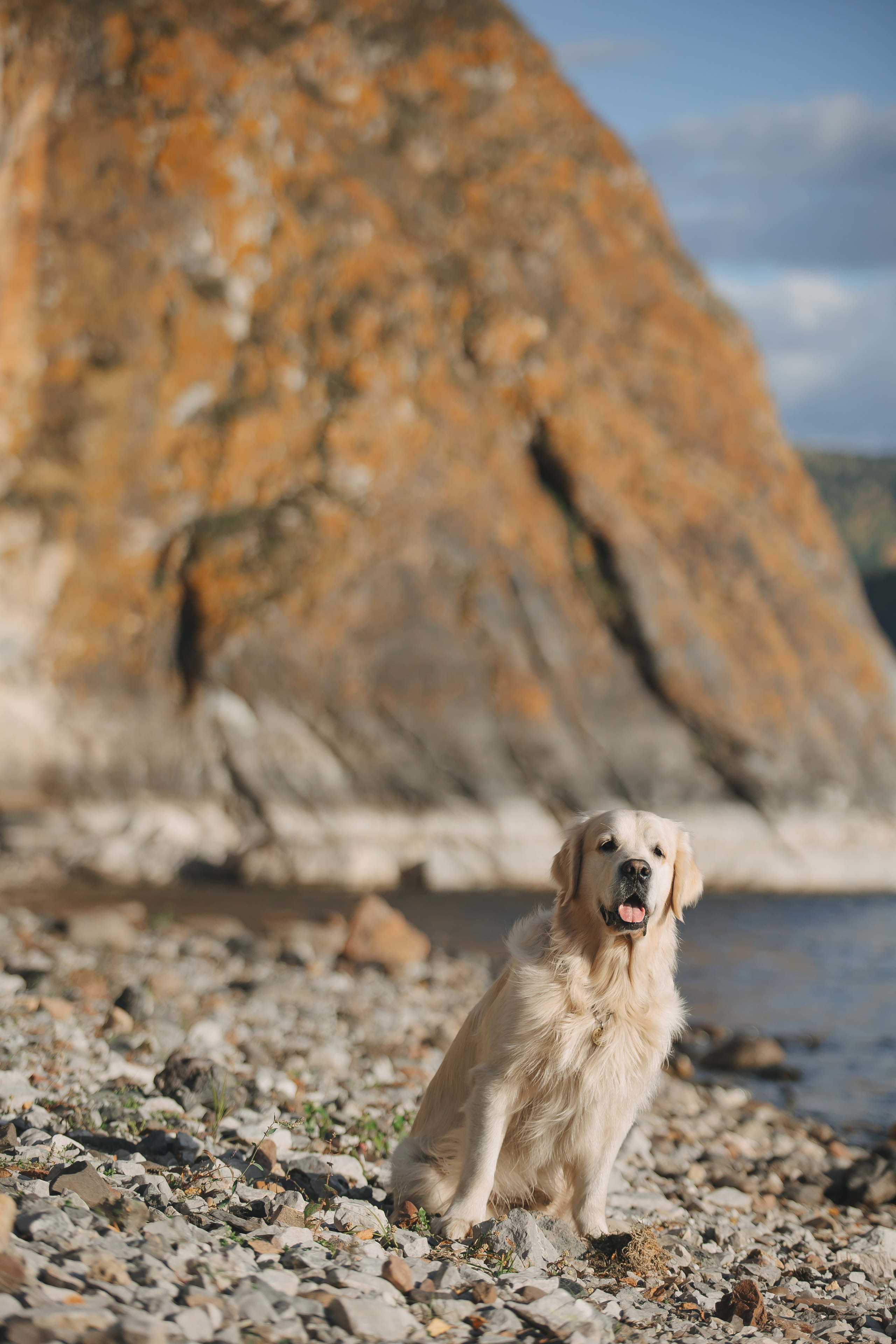 Снежик и Веста. Свадебный и женский фотограф