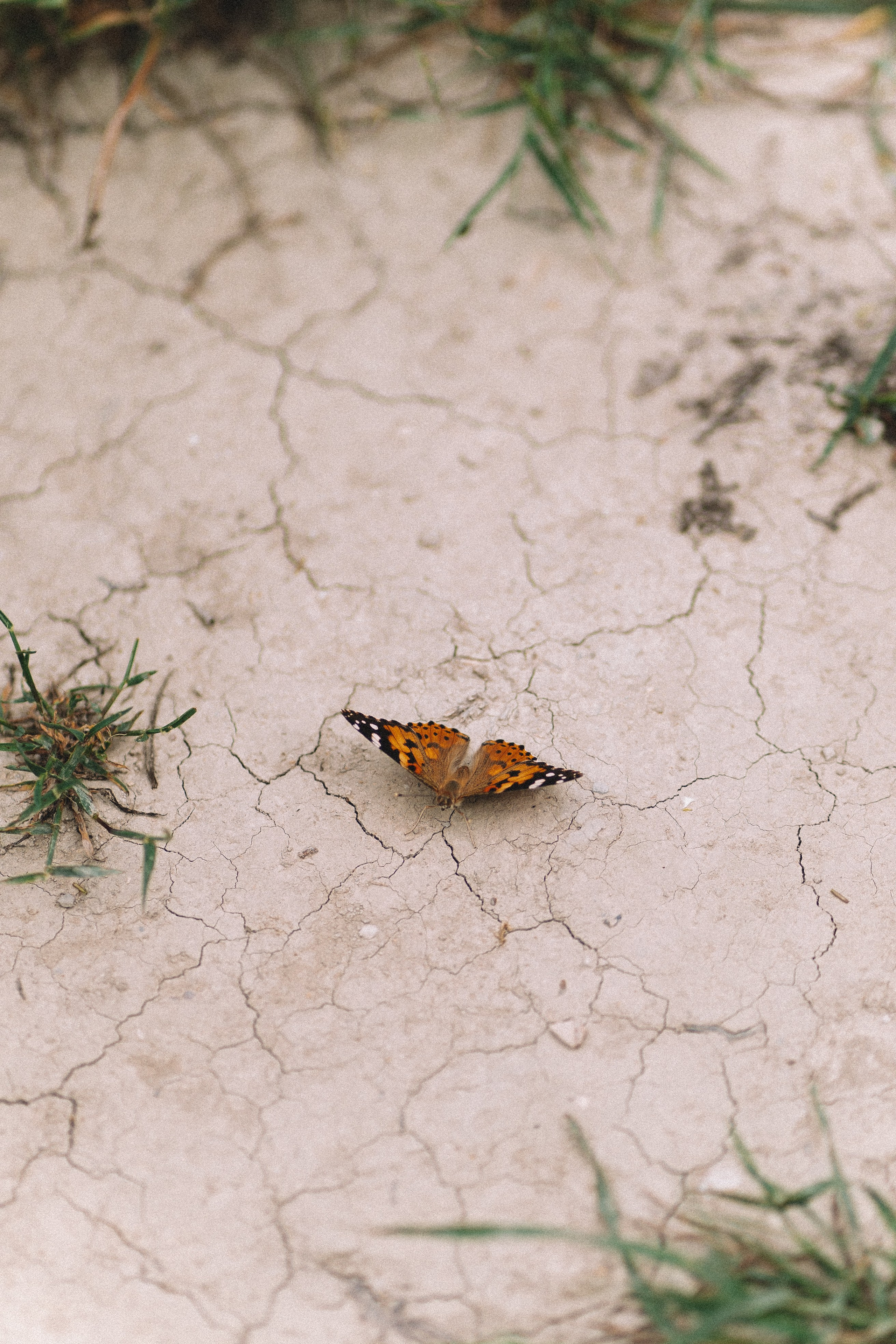Boho. Фотограф в Анапе Муратова Анна