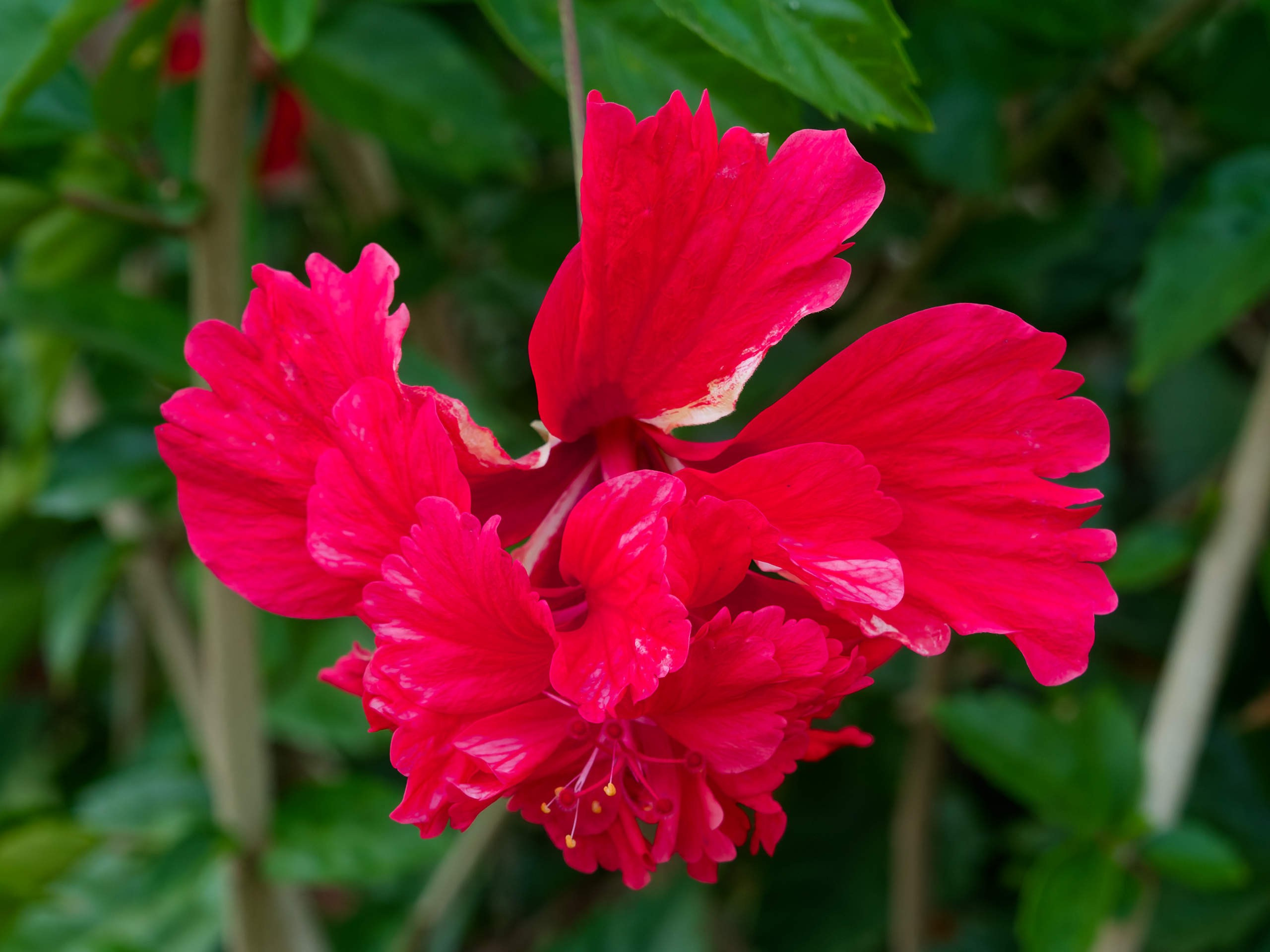 Алания 2025, порт и парк. Избранные фотографии