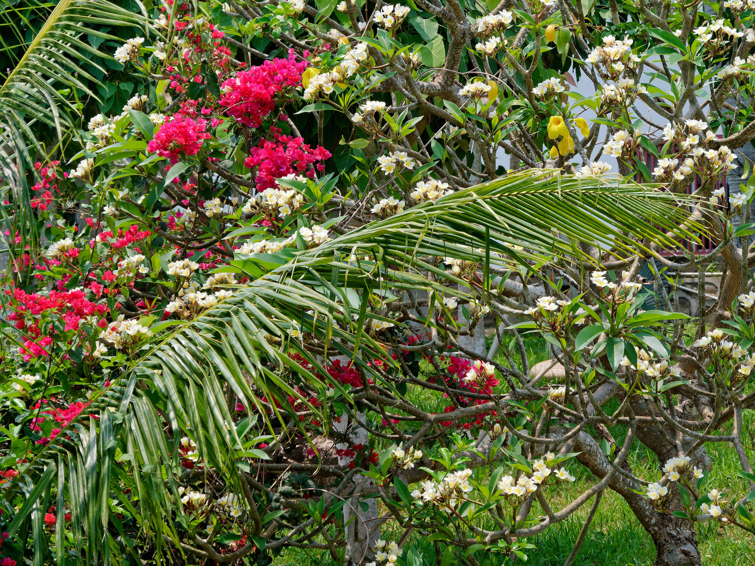 Хайнань 2026, Тур по буддийским храмам. Фотопрогулки по Миру