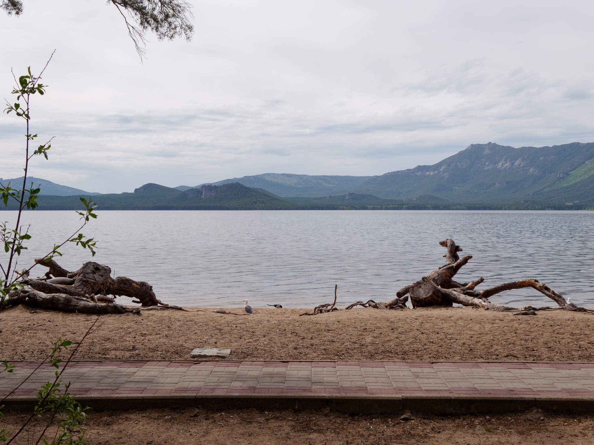 Боровое 2024 (из архива). Избранные фотографии