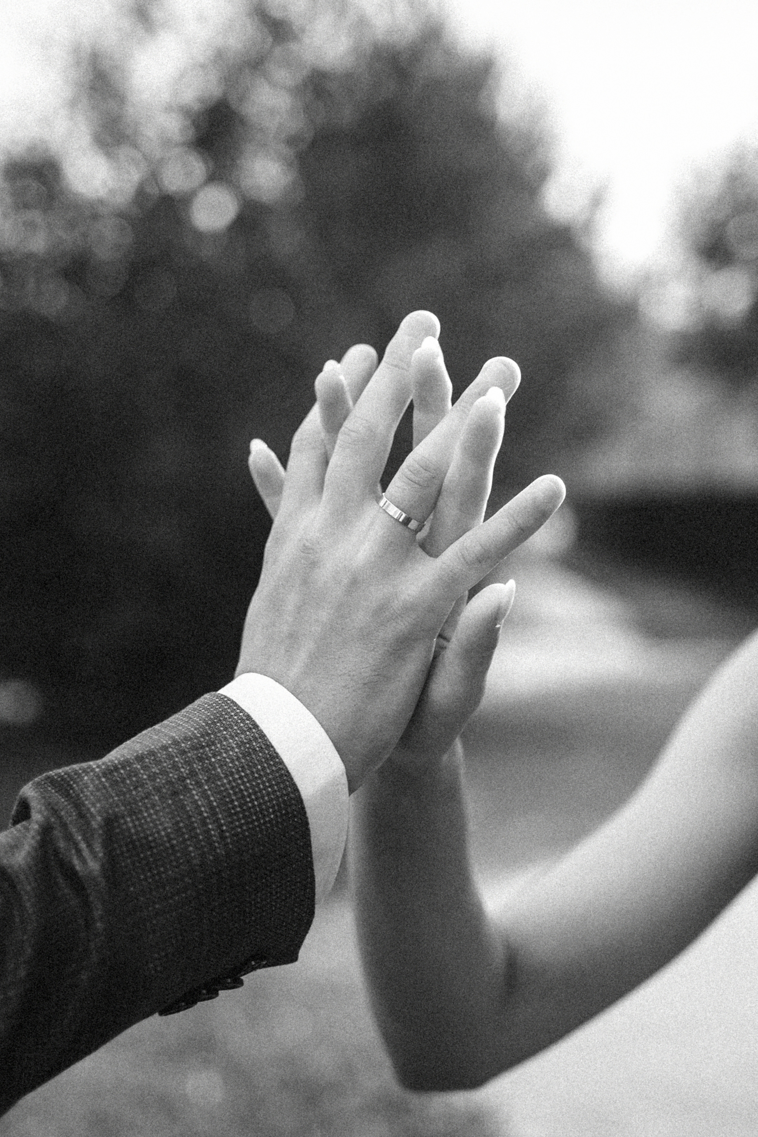 Wedding Алёна и Сергей. Фотограф Наталья Шелест