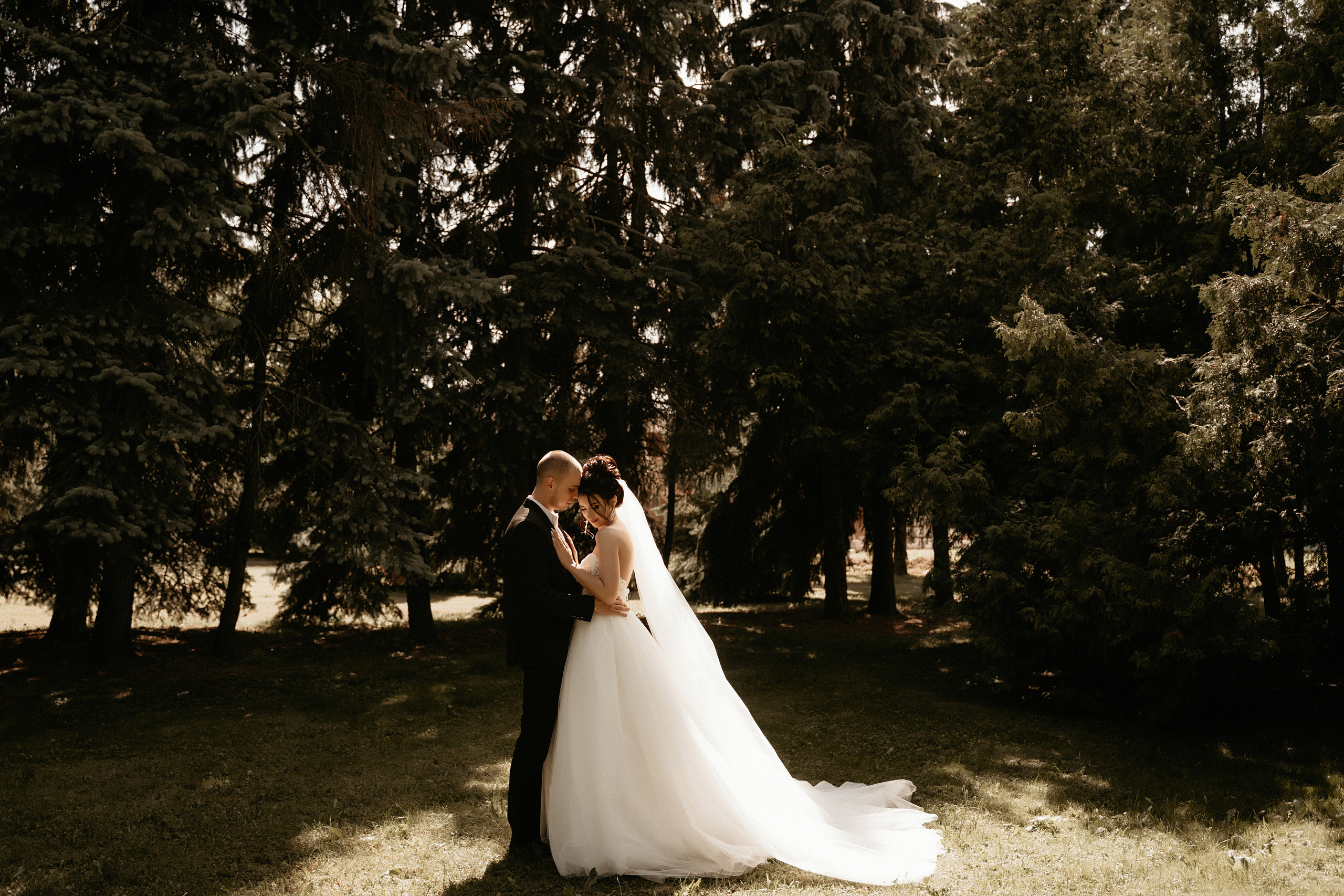 Wedding Валерия и Валерий. Фотограф Наталья Шелест