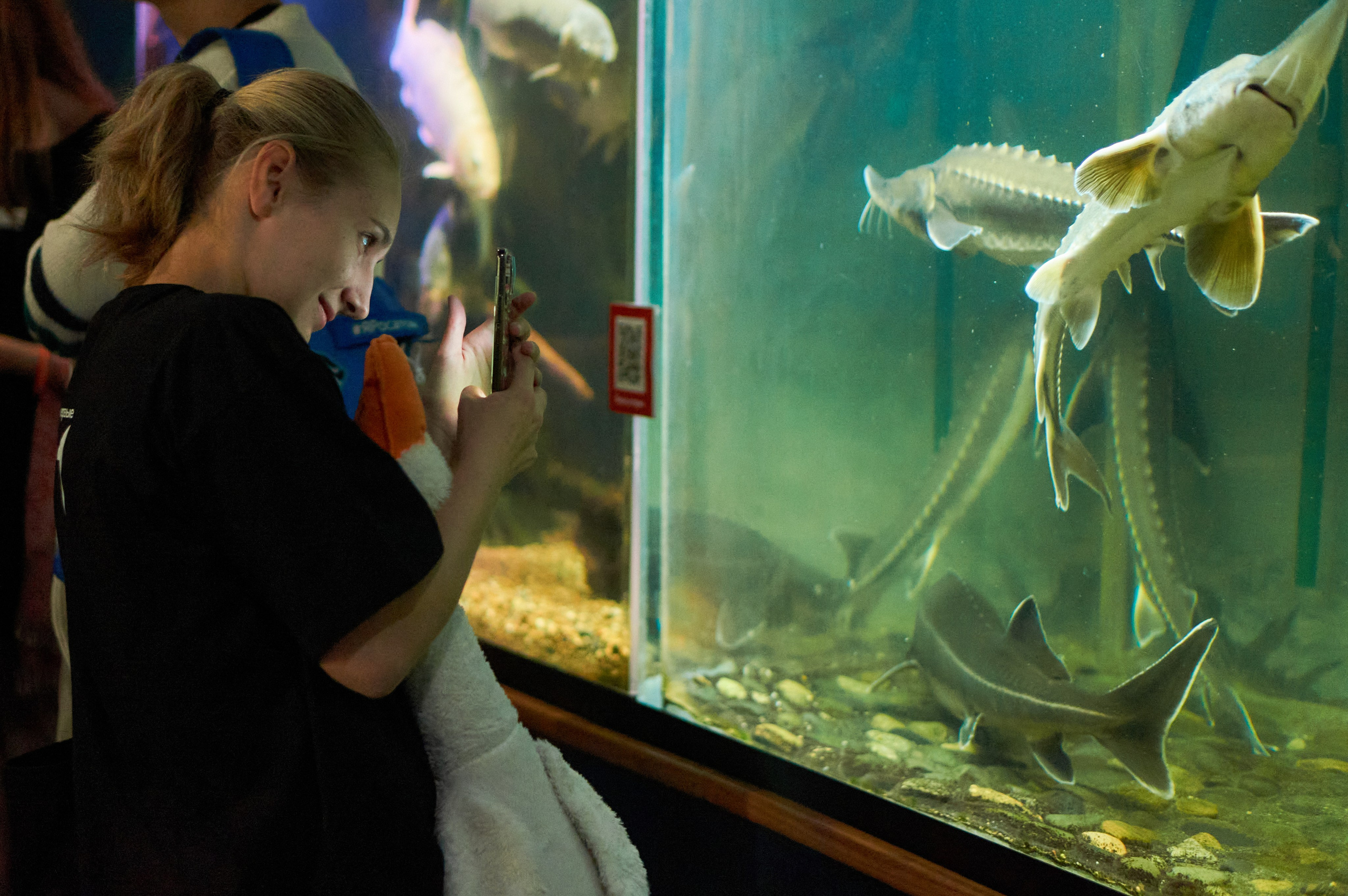 Портфолио | ШУМ.Первые | Фотограф Кнышева Валерия | Хабаровск. Фотограф | Кнышева Валерия | Санкт-Петербург