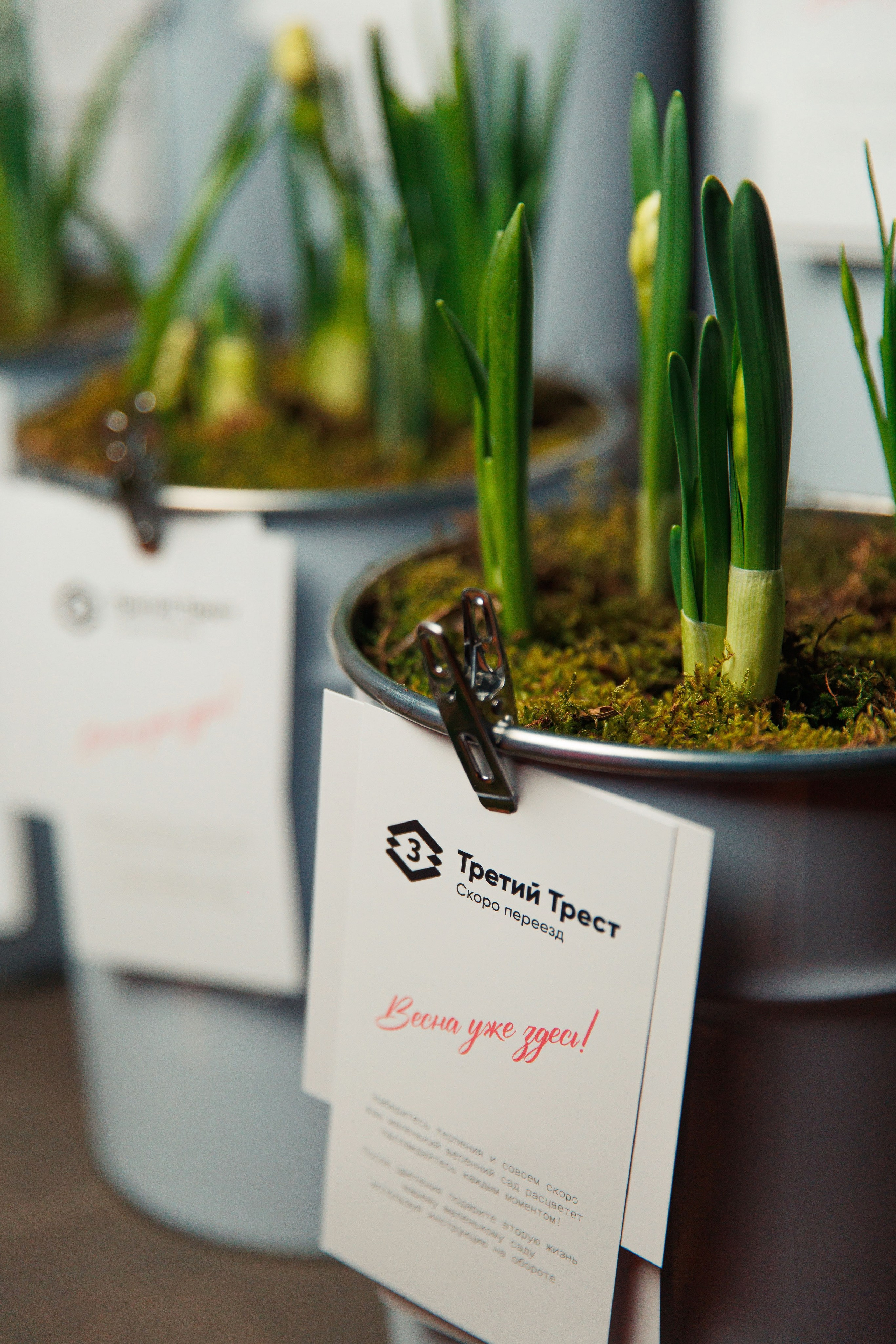 Третий трест в Доме Мафии. Репортажный и свадебный фотограф в Уфе Павел Кожевников