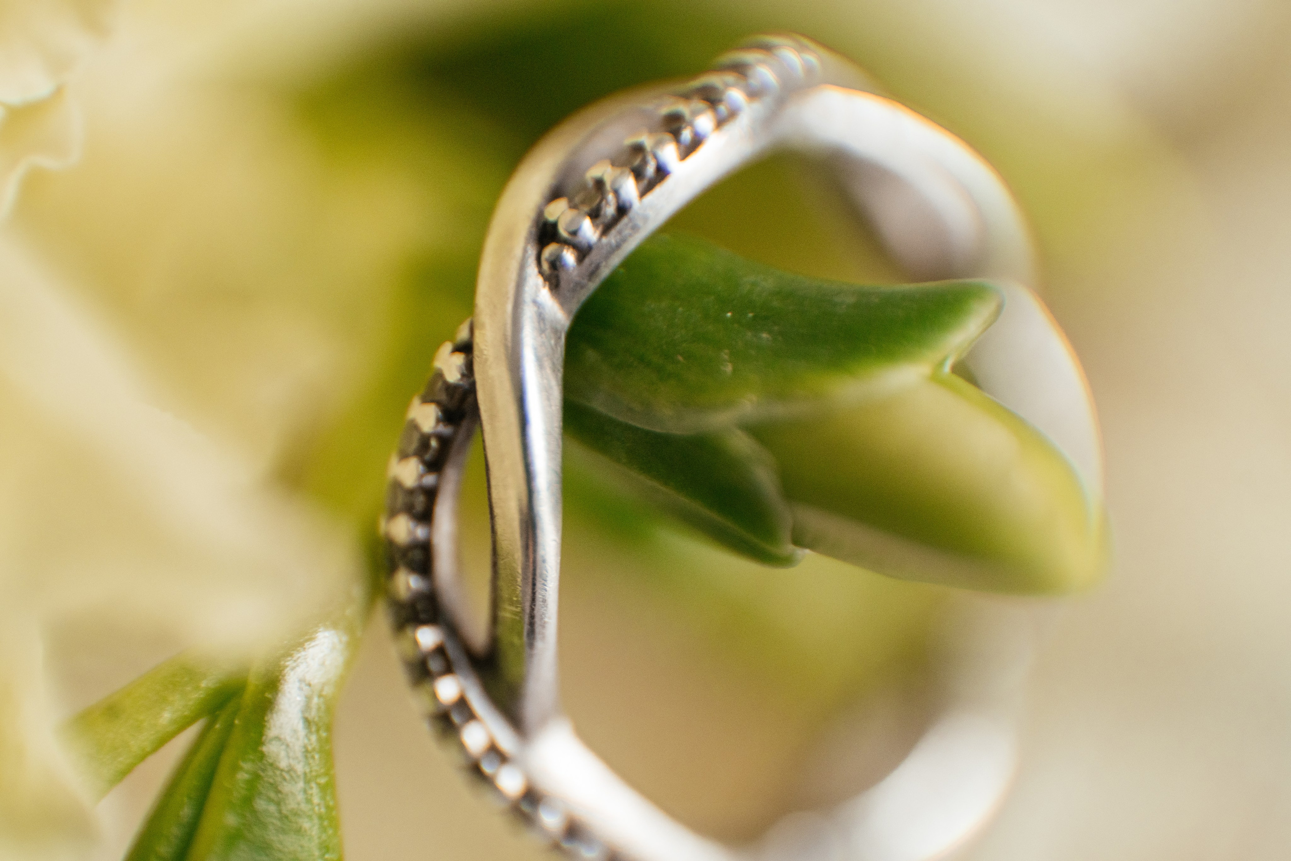 A | A. Свадебный и семейный фотограф в Новосибирске Светлана Варутина