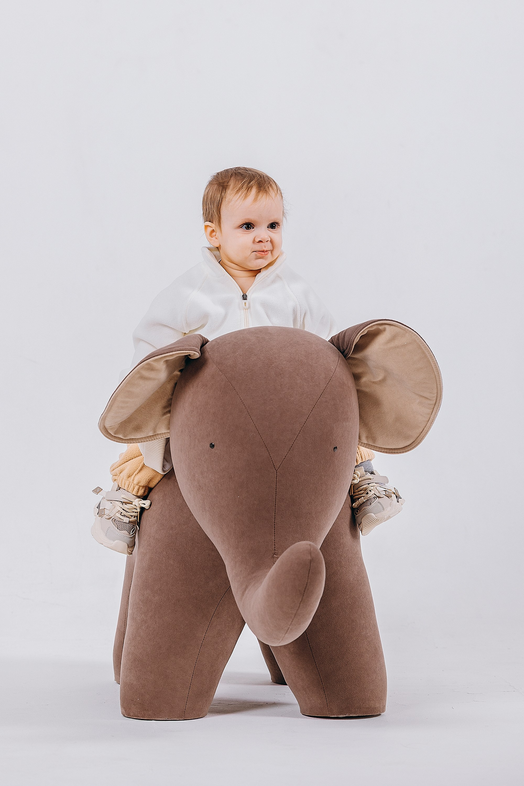 1 год Давиду. Фотограф. Фотограф-анималист. Москва