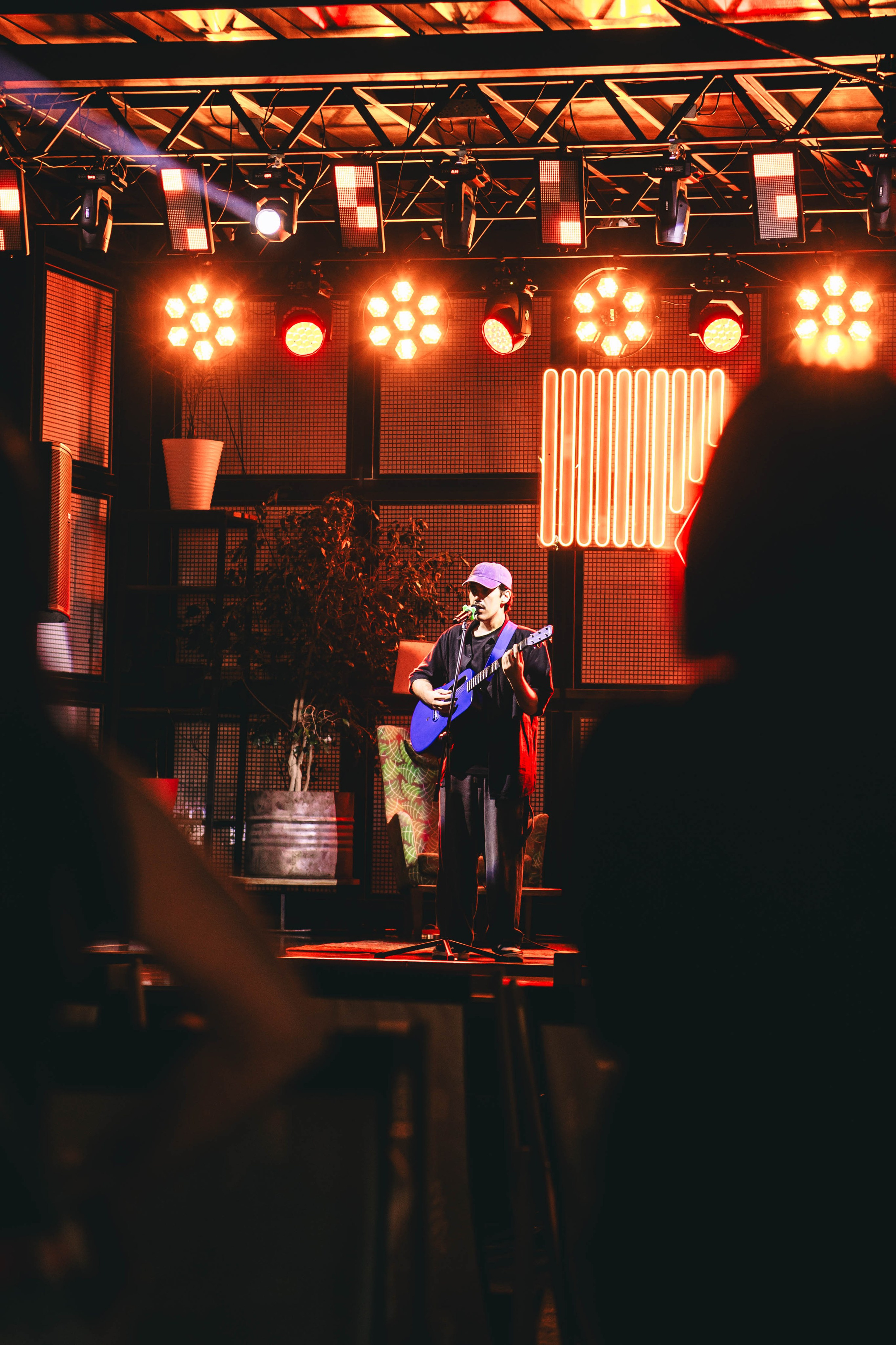 Pet-Party + Live-music |Парк Культуры. Фотограф в Ставрополе Алина Клочкова