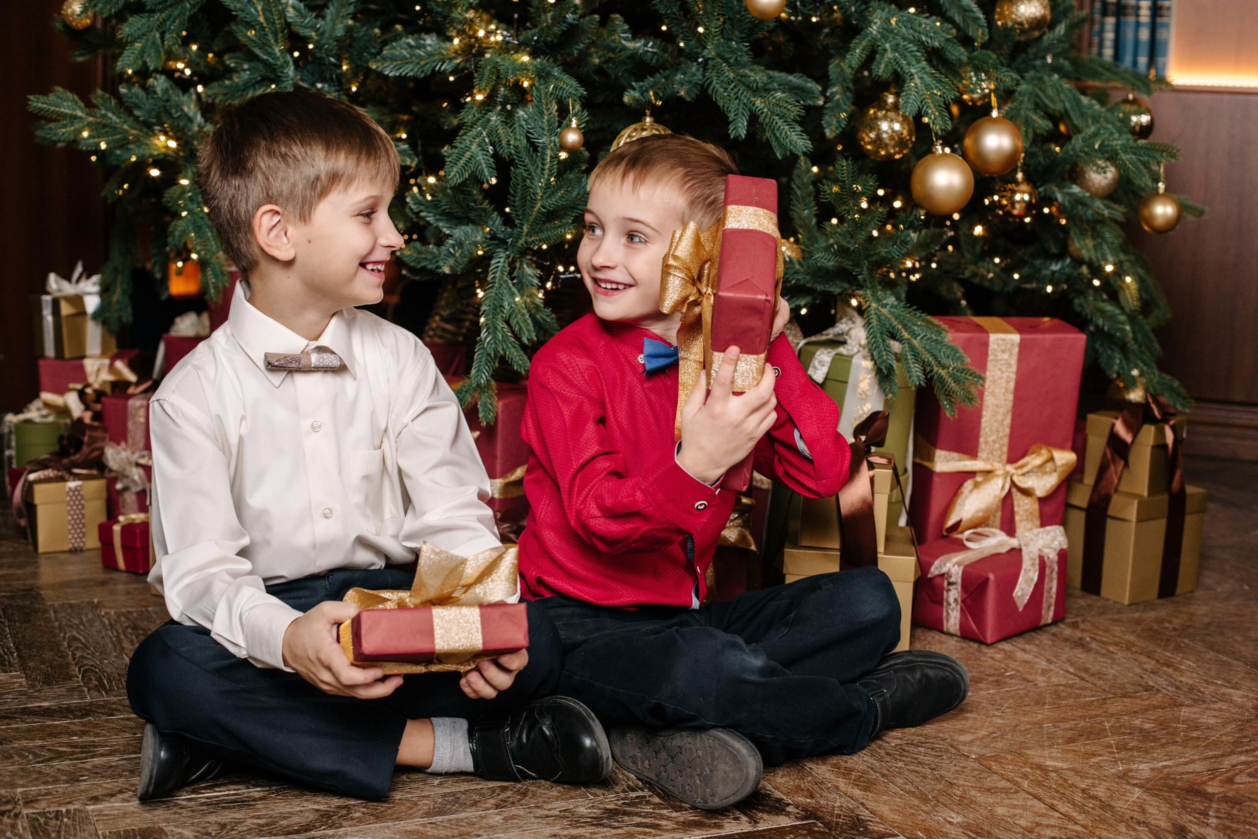 ИСТОРИЯ (Зал «Библиотека»). Семейный и свадебный фотограф в Воронеже Майя Добровольская