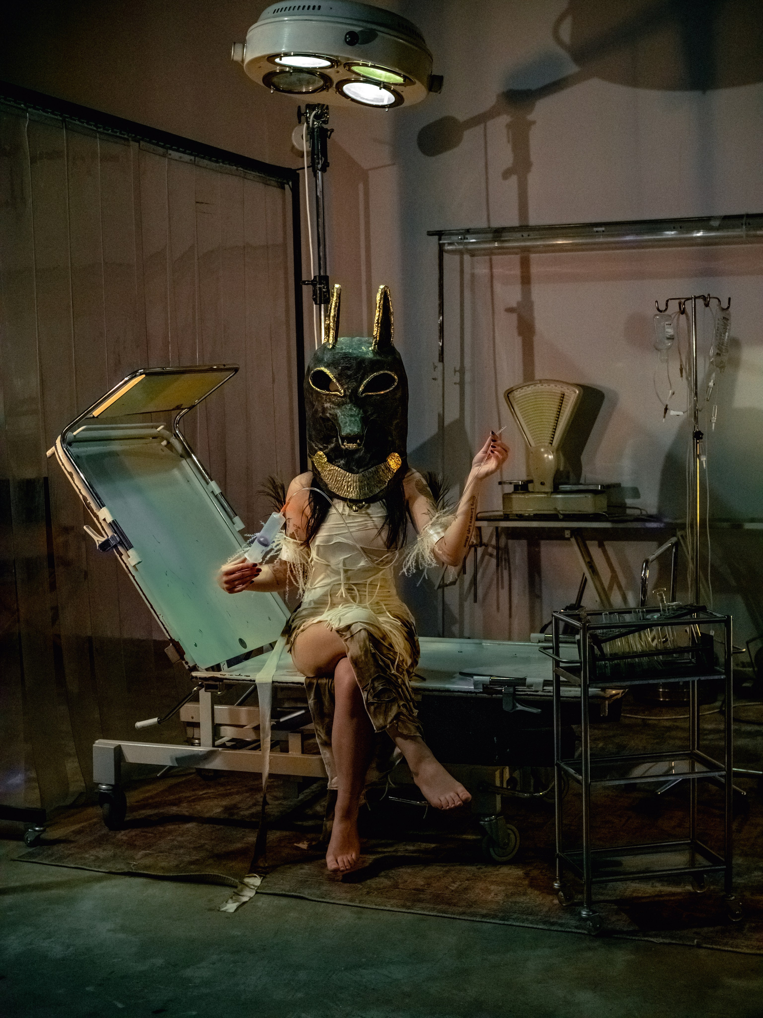 ANUBIS. Фотограф в Санкт-Петербурге Эллис