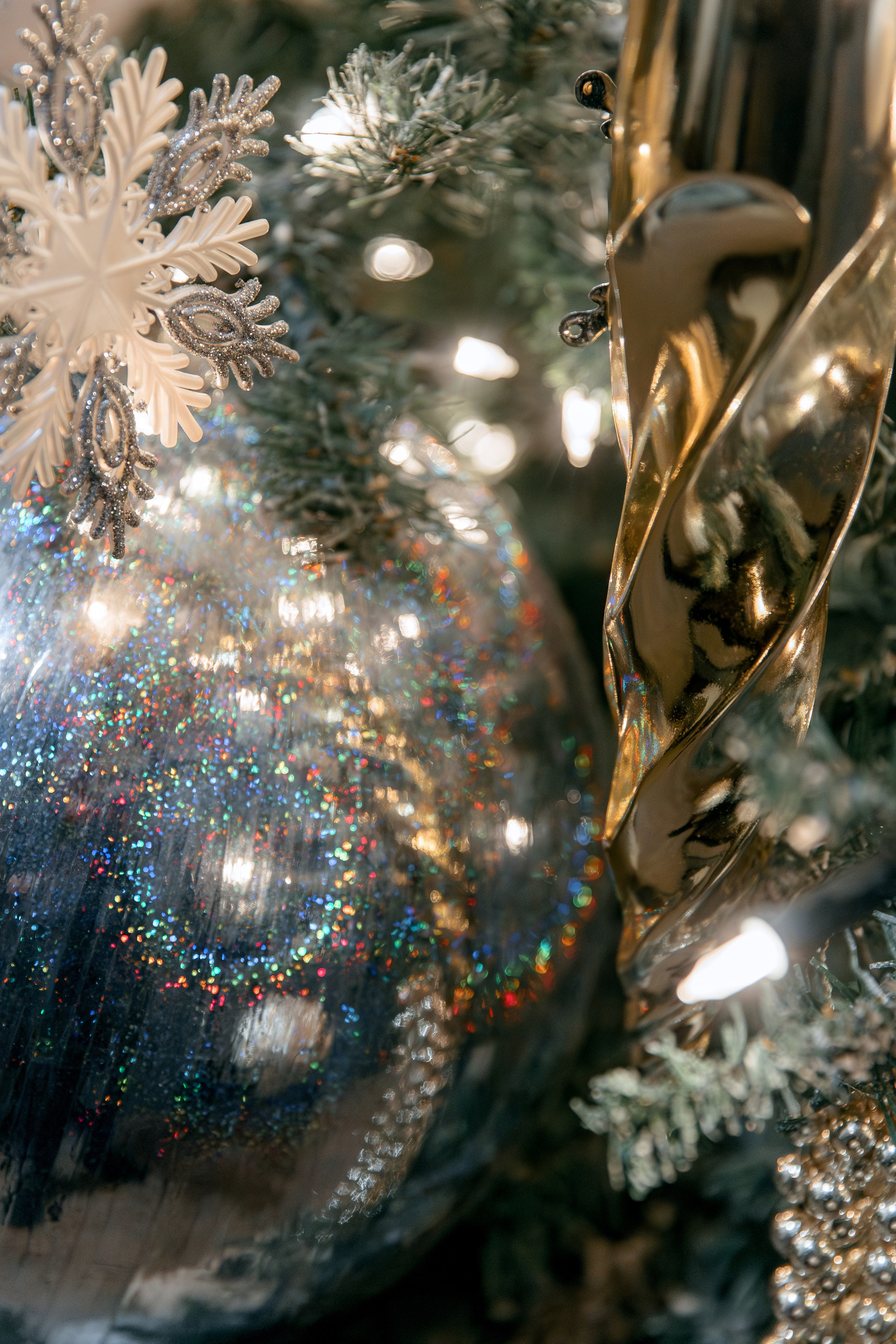 COLLA GEN. Фотограф в Красноярске