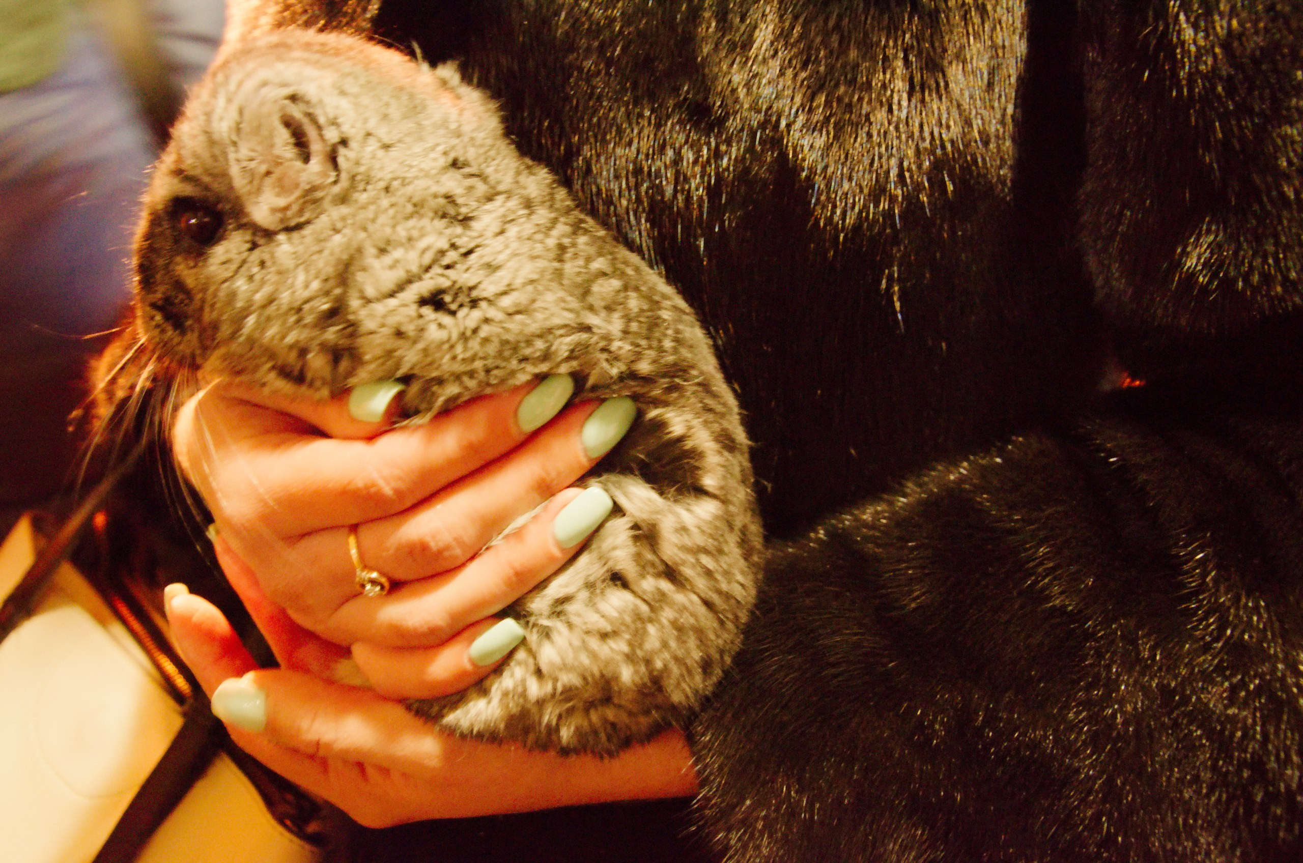 Владимир+Суздаль | 18-19.02.2017. Галерея Фантим